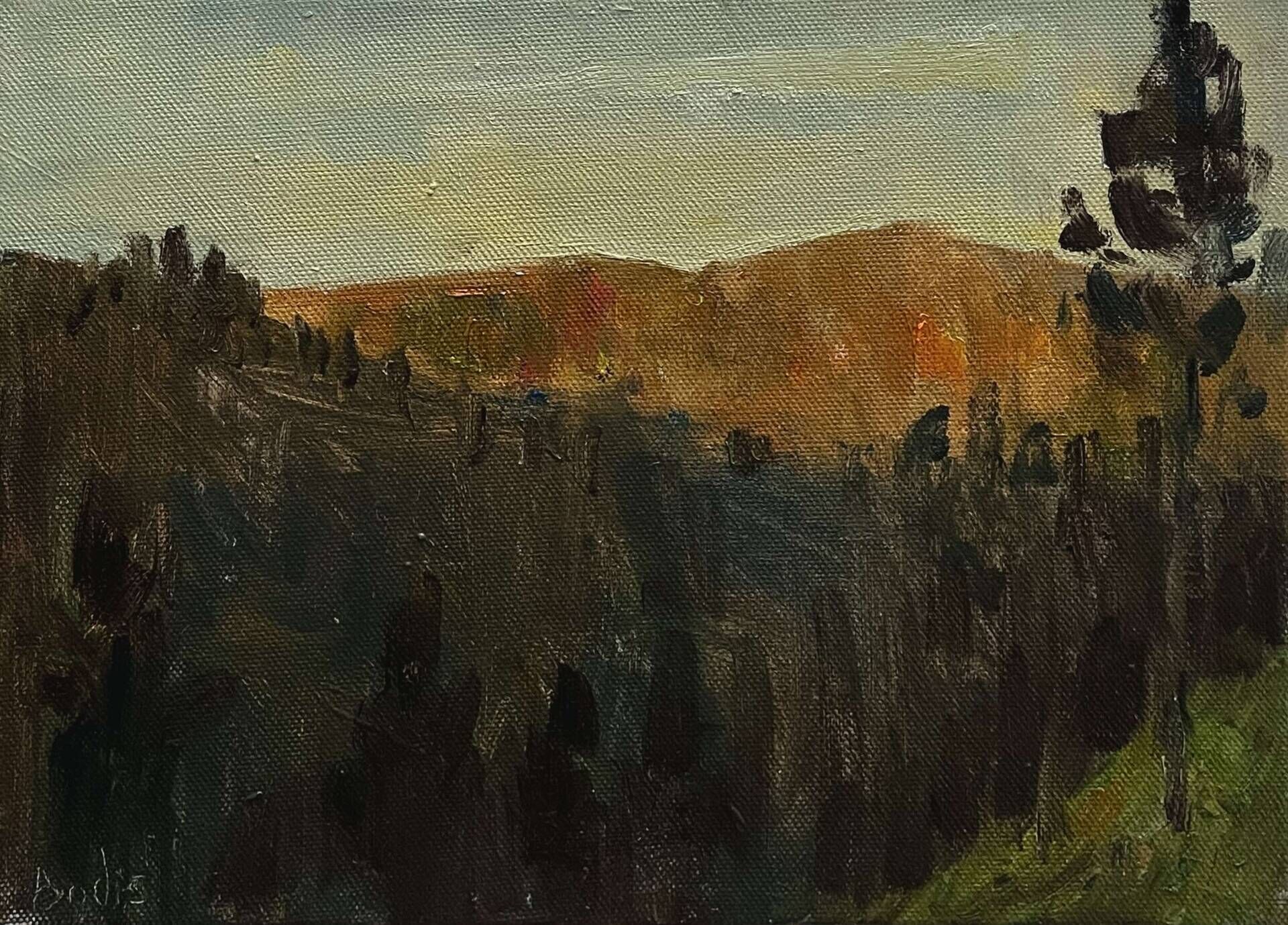 Evening mountains - Bohdan  Dobrivskyi  1