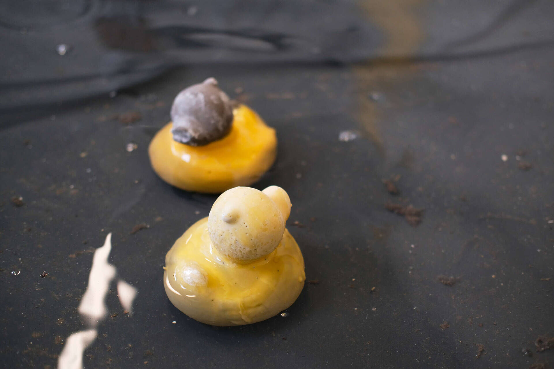 Coated in Beewax After the Dryness They Have Known (2026) - Terryfied Club 1