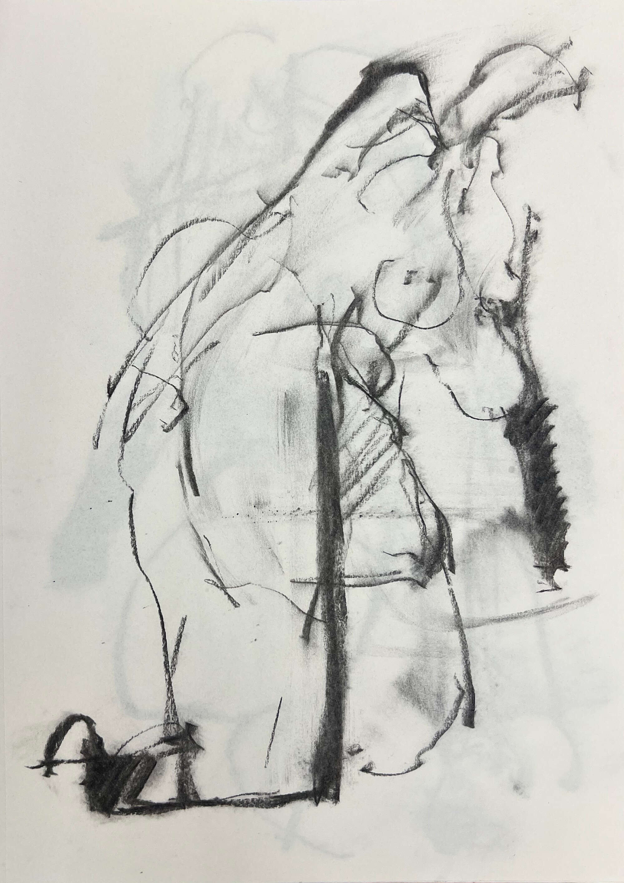 seitlich - Tyler Heidenwag 1