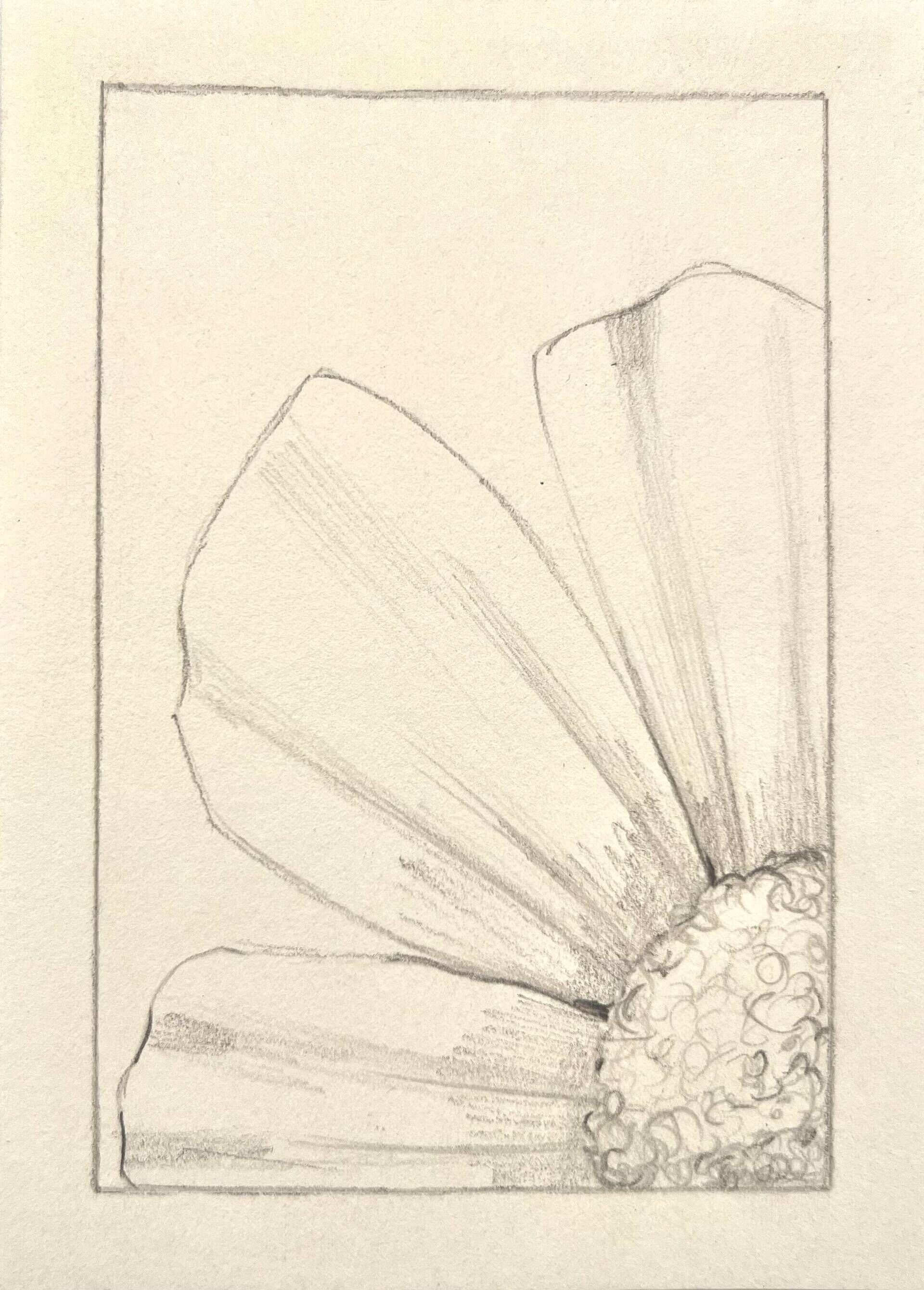 Blumenfenster - Paula Victoria Aldea 1
