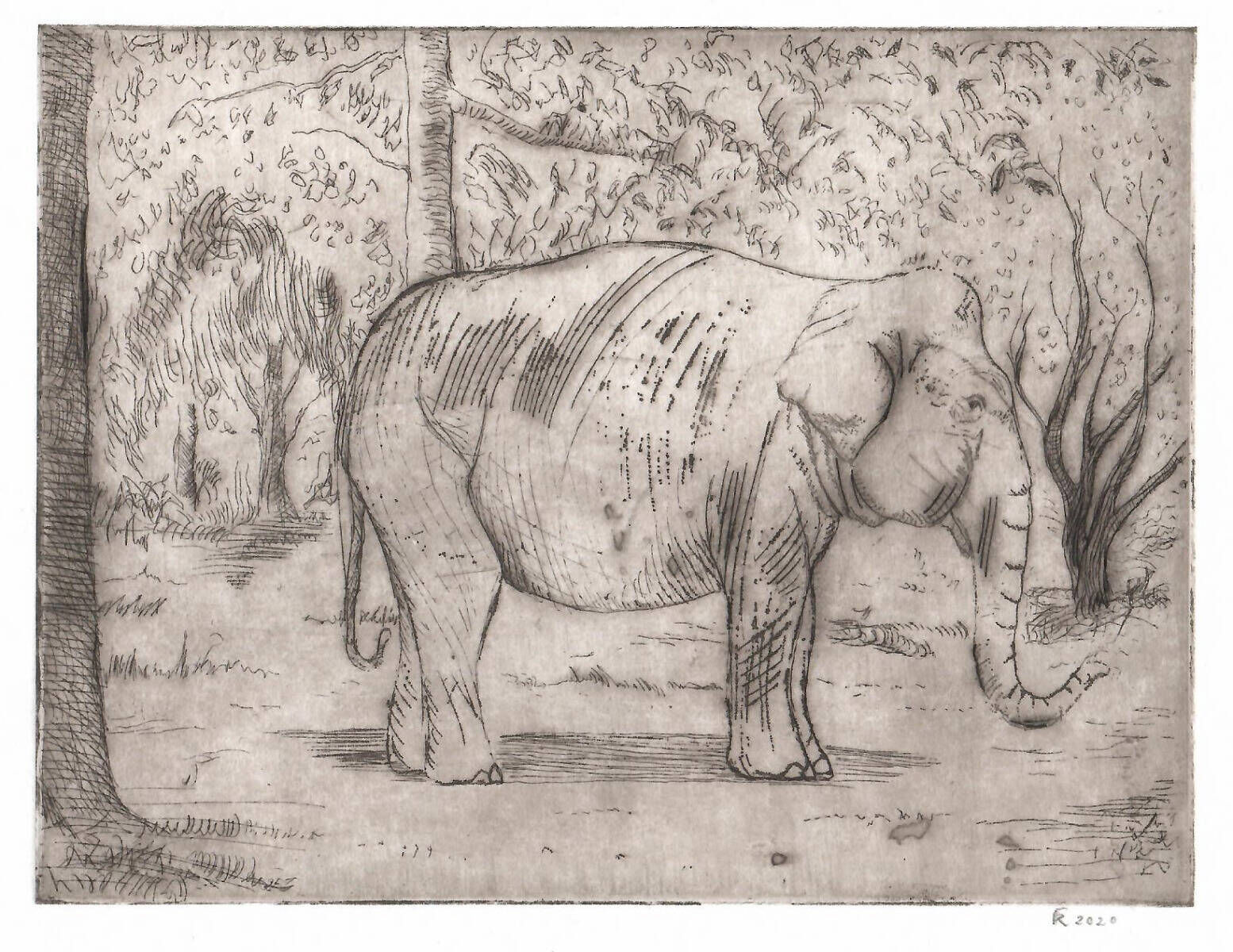 Elefant unter Orangen