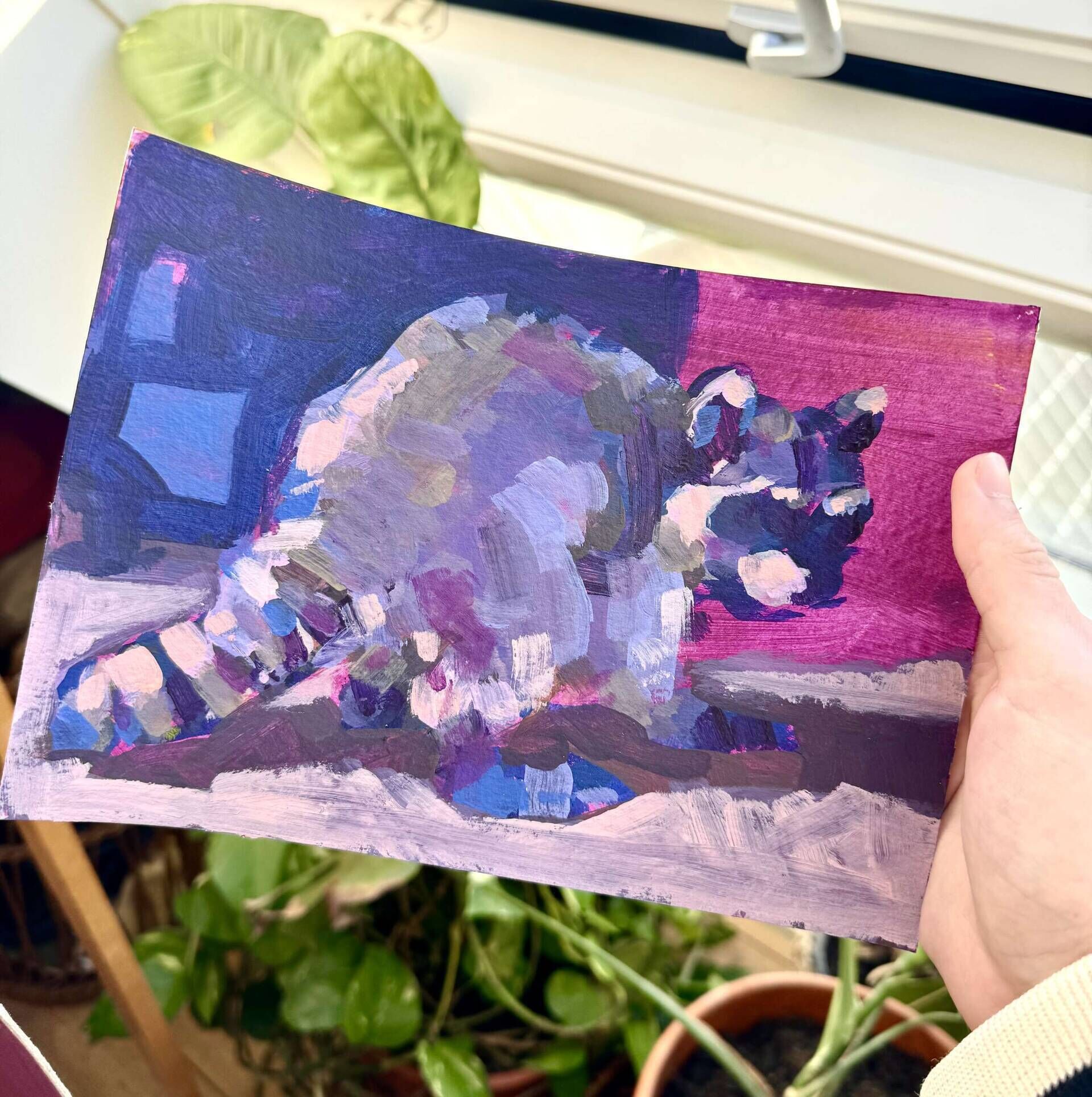 Waschbär - Daniel Heimgärtner 2