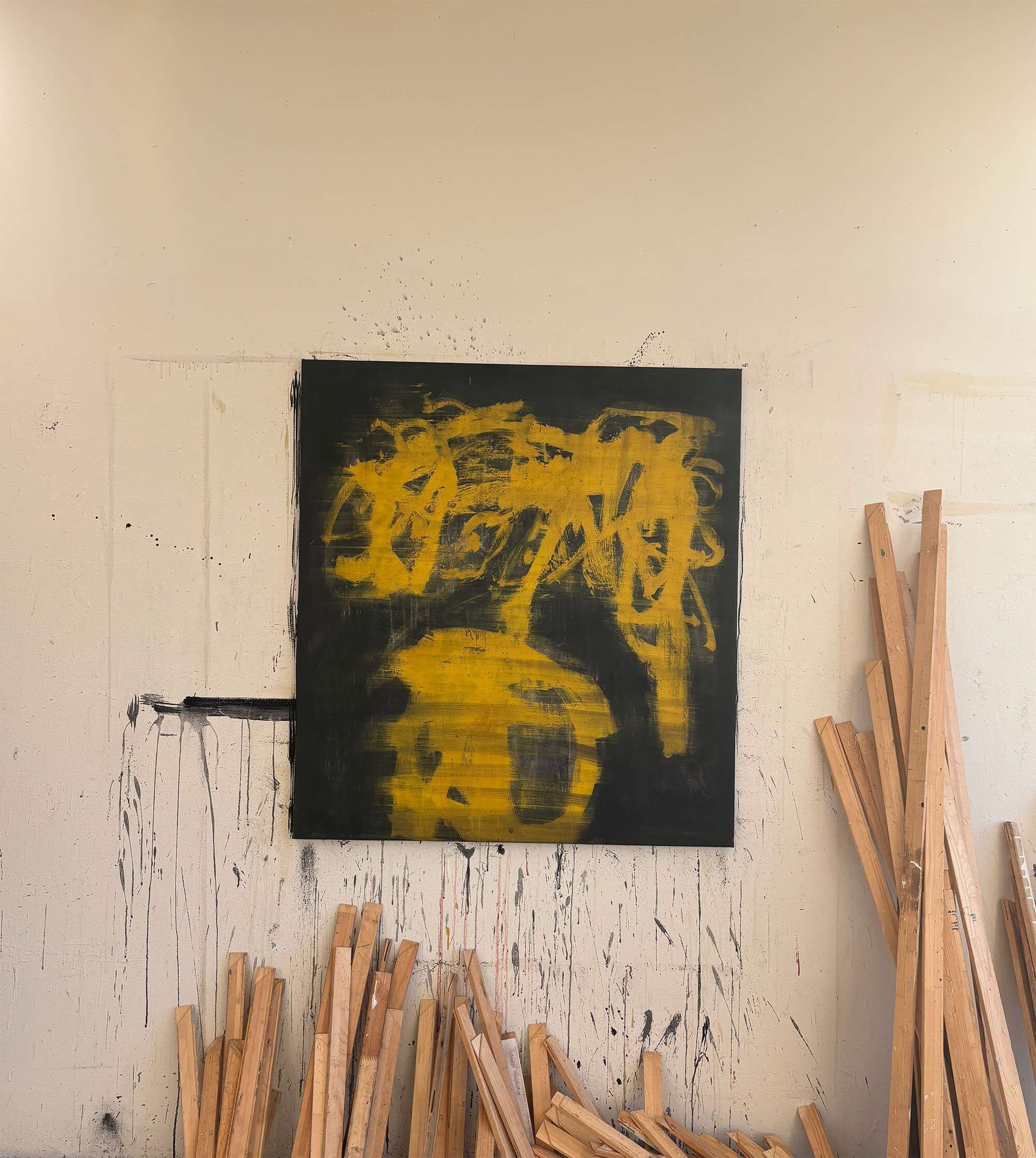  yellow fruits  - Tyler Heidenwag 2