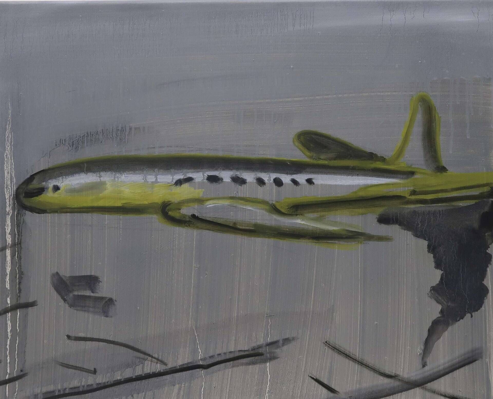 Form des Flugzeugs - Seo Park 1