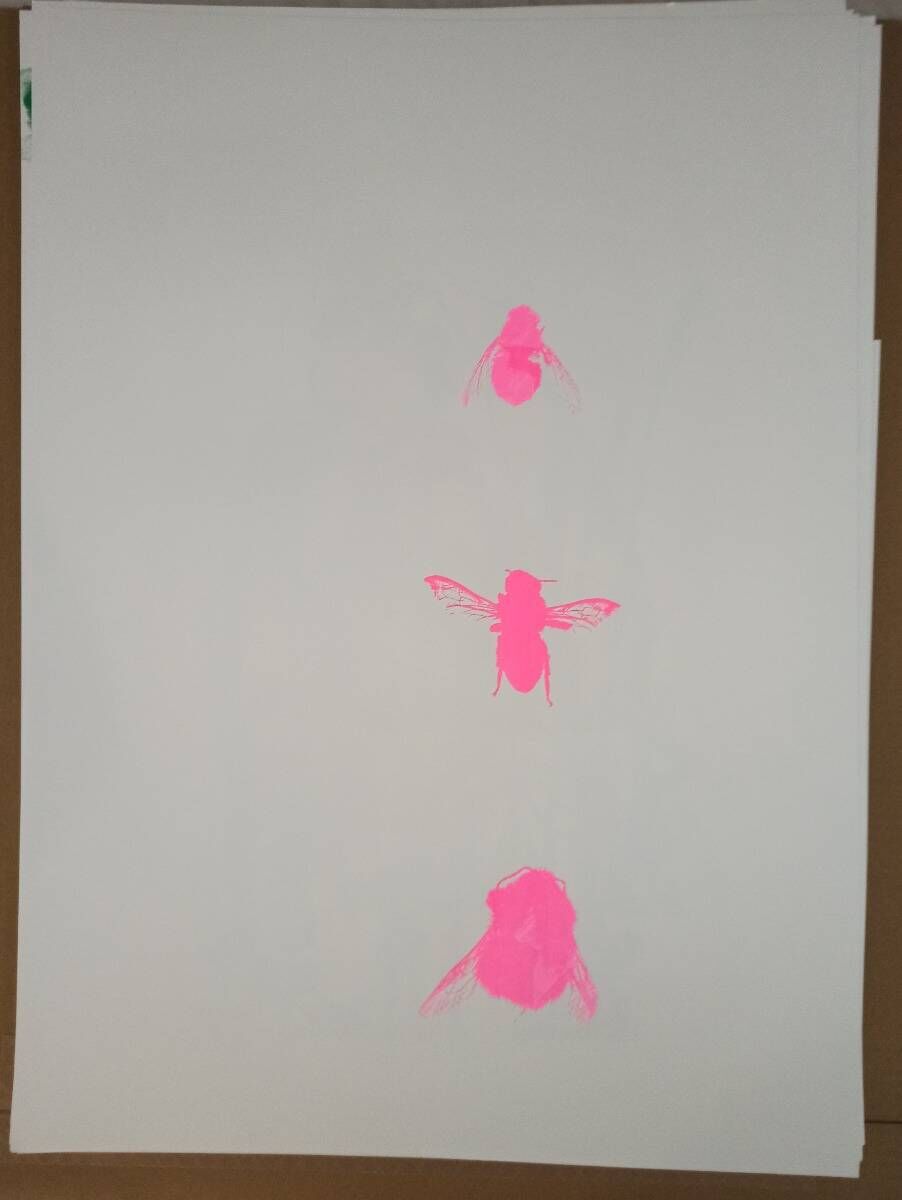 Fliege, Biene und Hummel