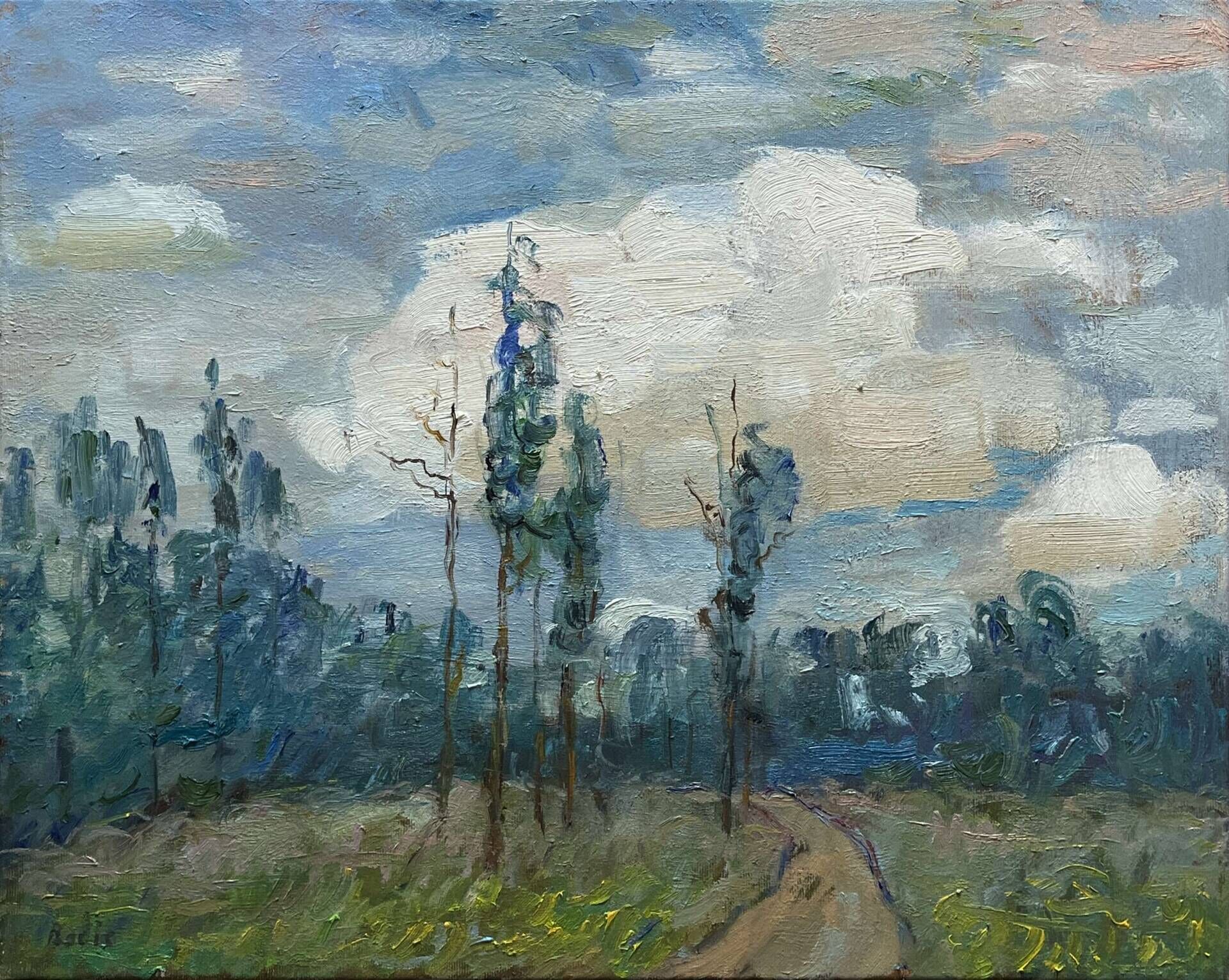Cloudy day - Bohdan  Dobrivskyi  1