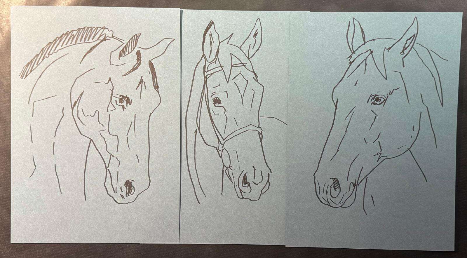 Pferdeköpfe - Laura Küpper 4