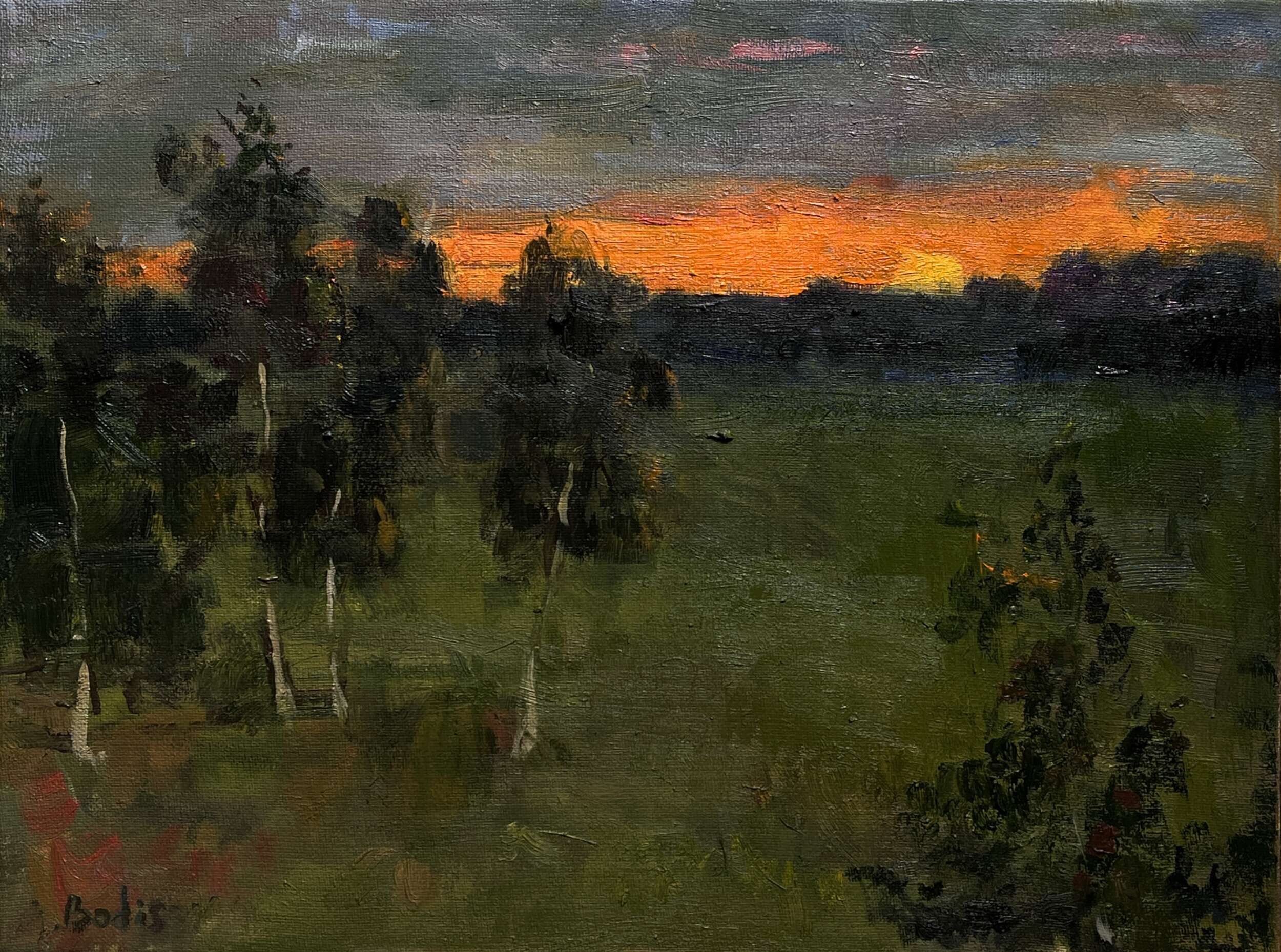 Warm evening  - Bohdan  Dobrivskyi  1