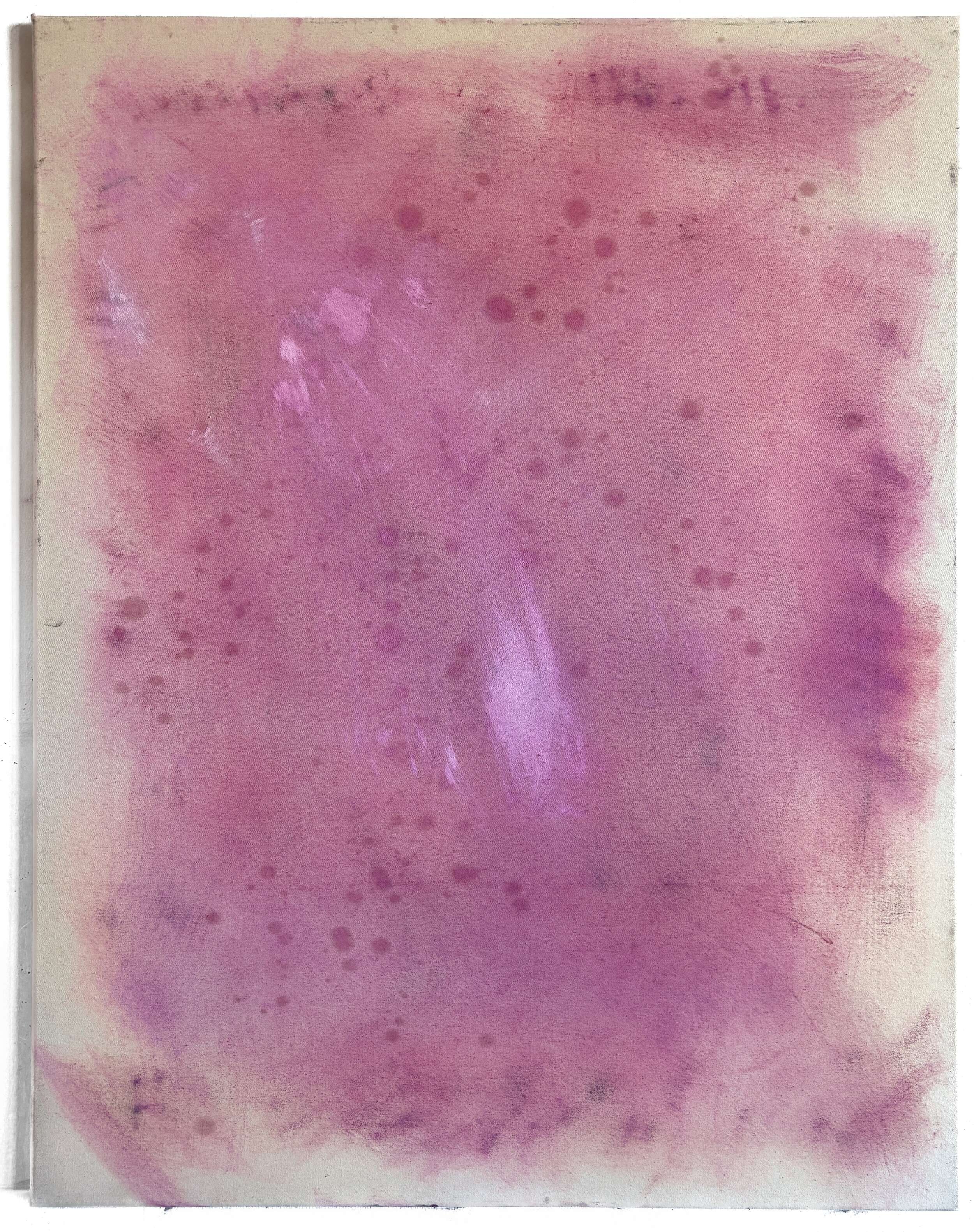 Blush Rosé - Lenny Renz 1