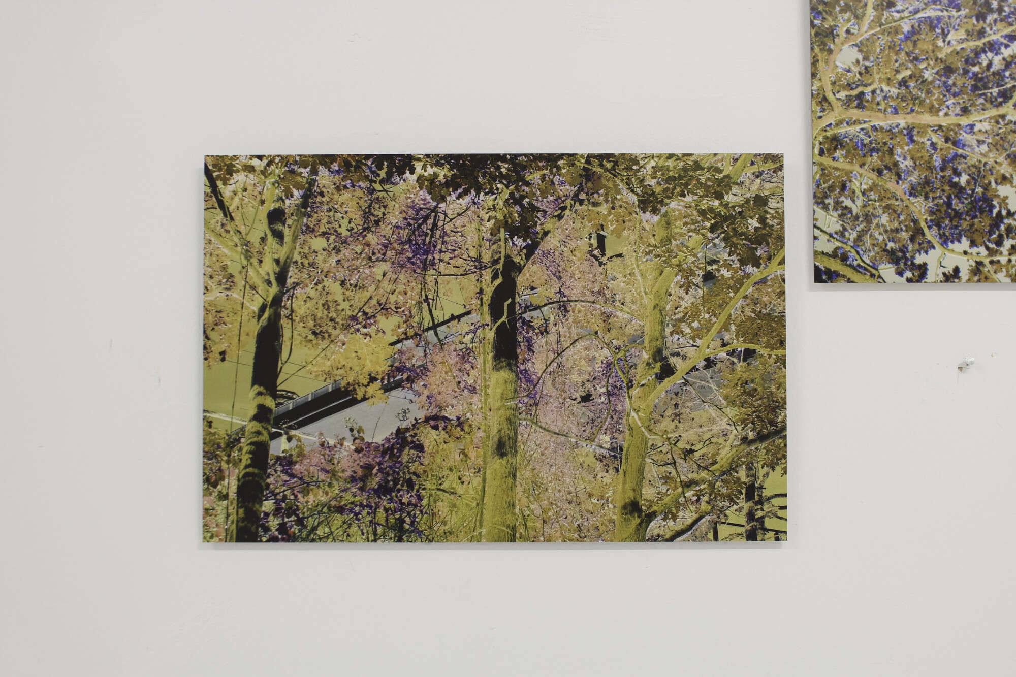 fase vivida del viaggio - Raphael  Wutz 1