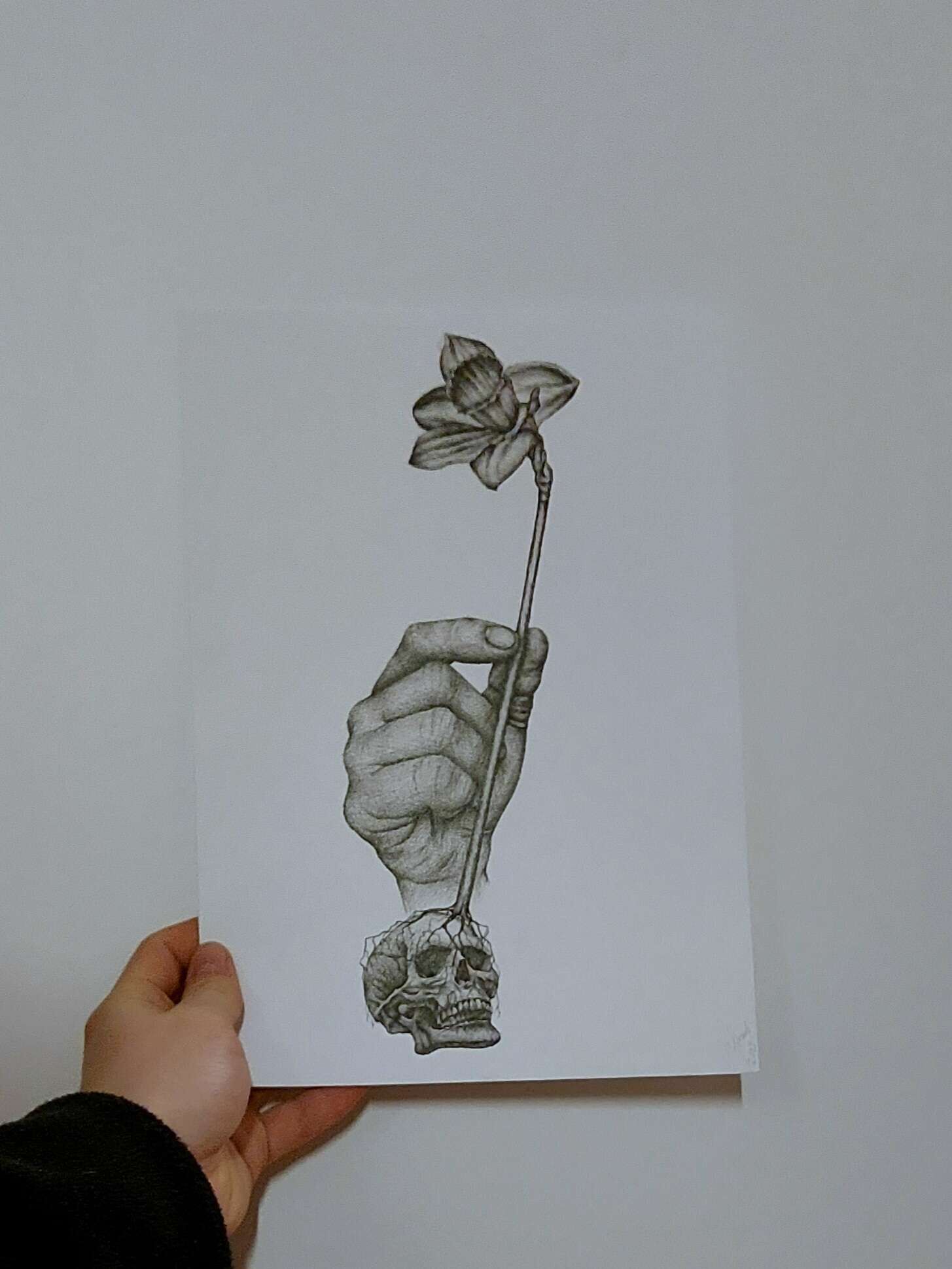 Zwischen Selbstliebe und Verfall - Vergängliche Eitelkeit - Alexander Straub 3