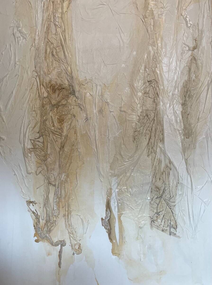 Broken condom