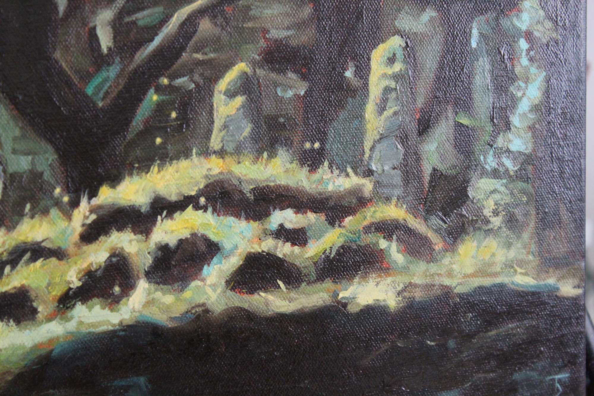 Lichtung - Tom Peter 2