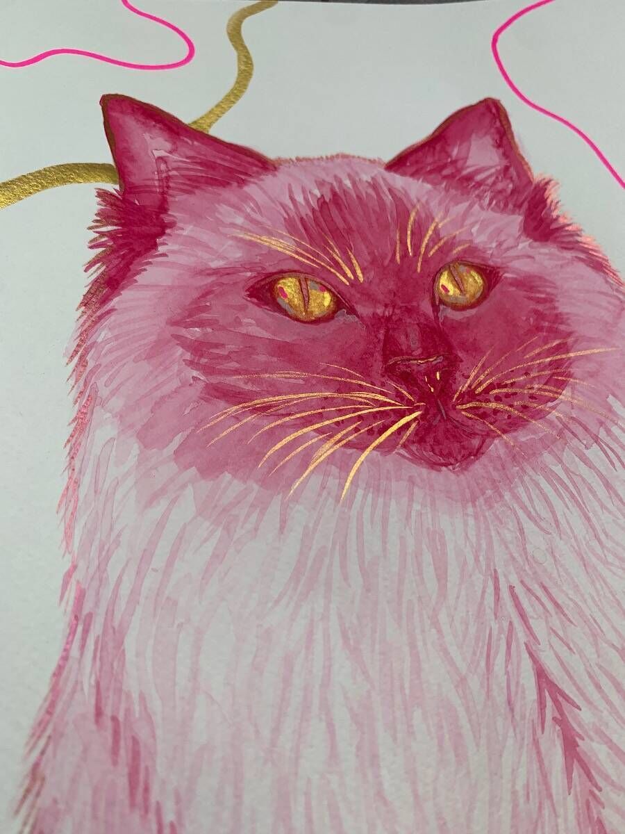 Pink Kitty