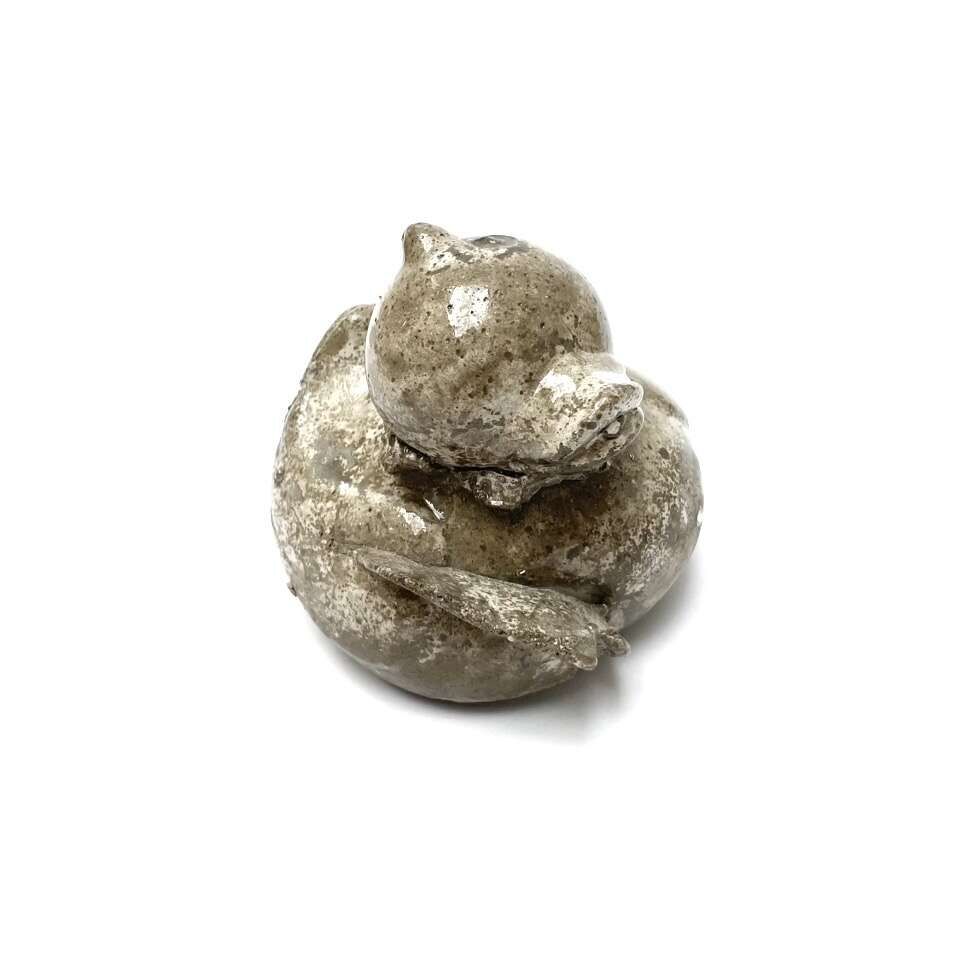 Finding Gloss in the Dryness They Know (2026) - Terryfied Club 4