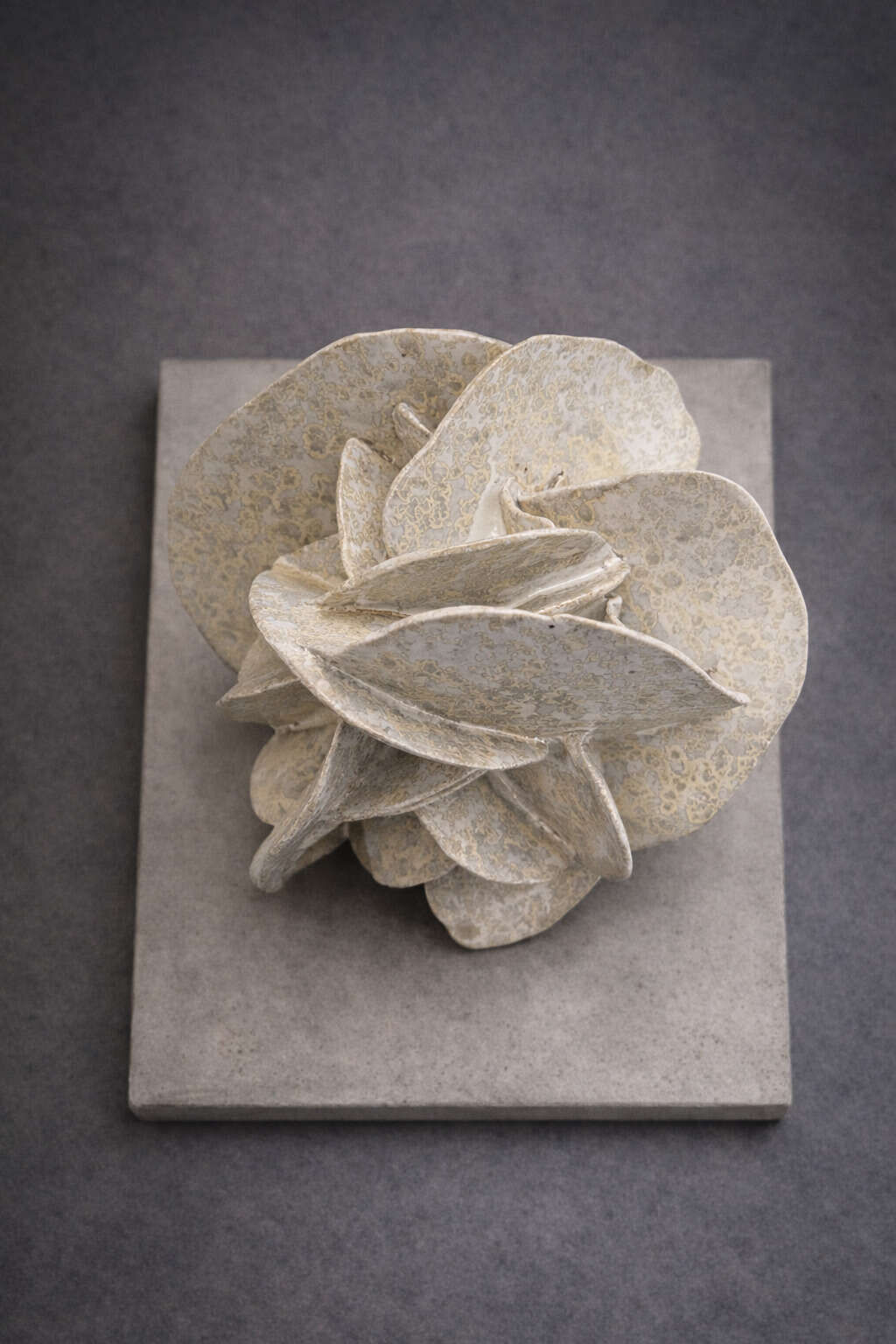 Crystallized - Mathilda Augart 3