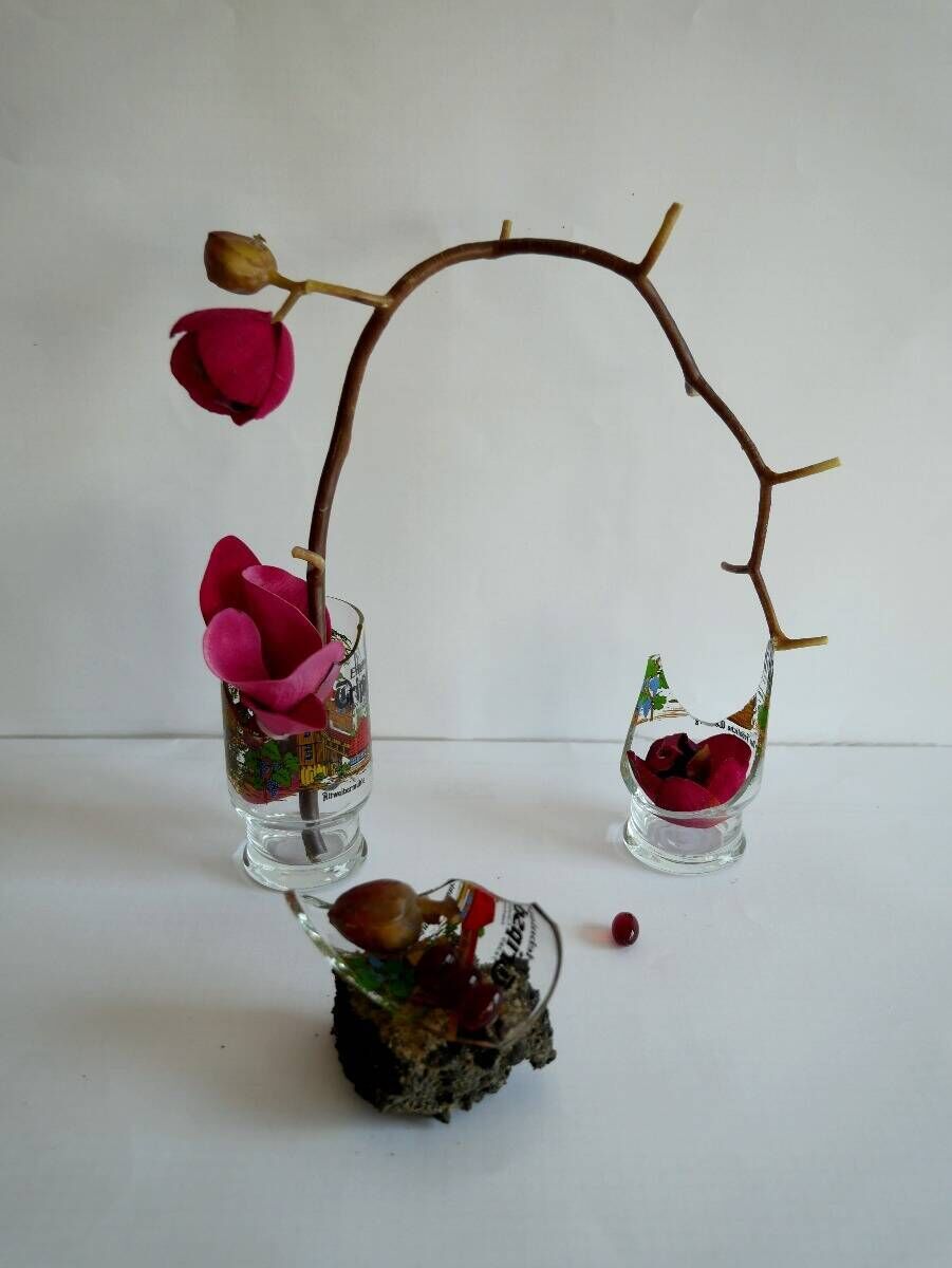 Name: Le petit Prince