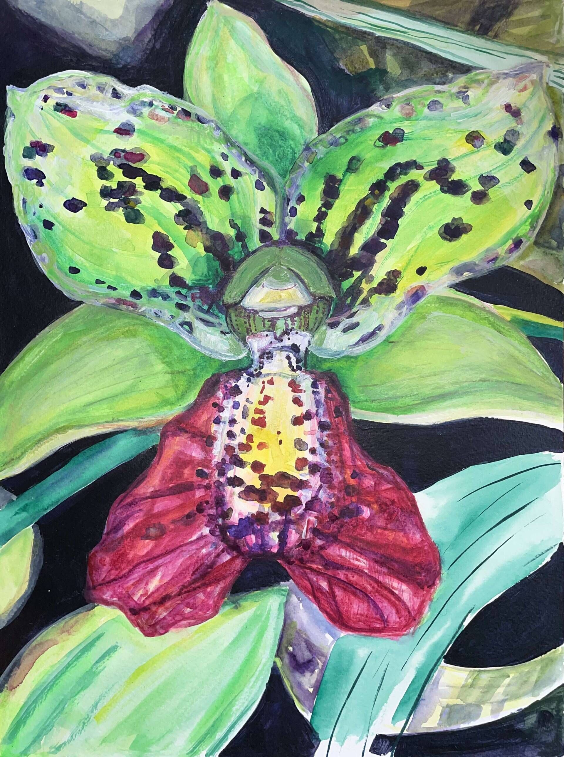 Orchidee „Cymbidiella pardalina“ - Delja Wilfert 1
