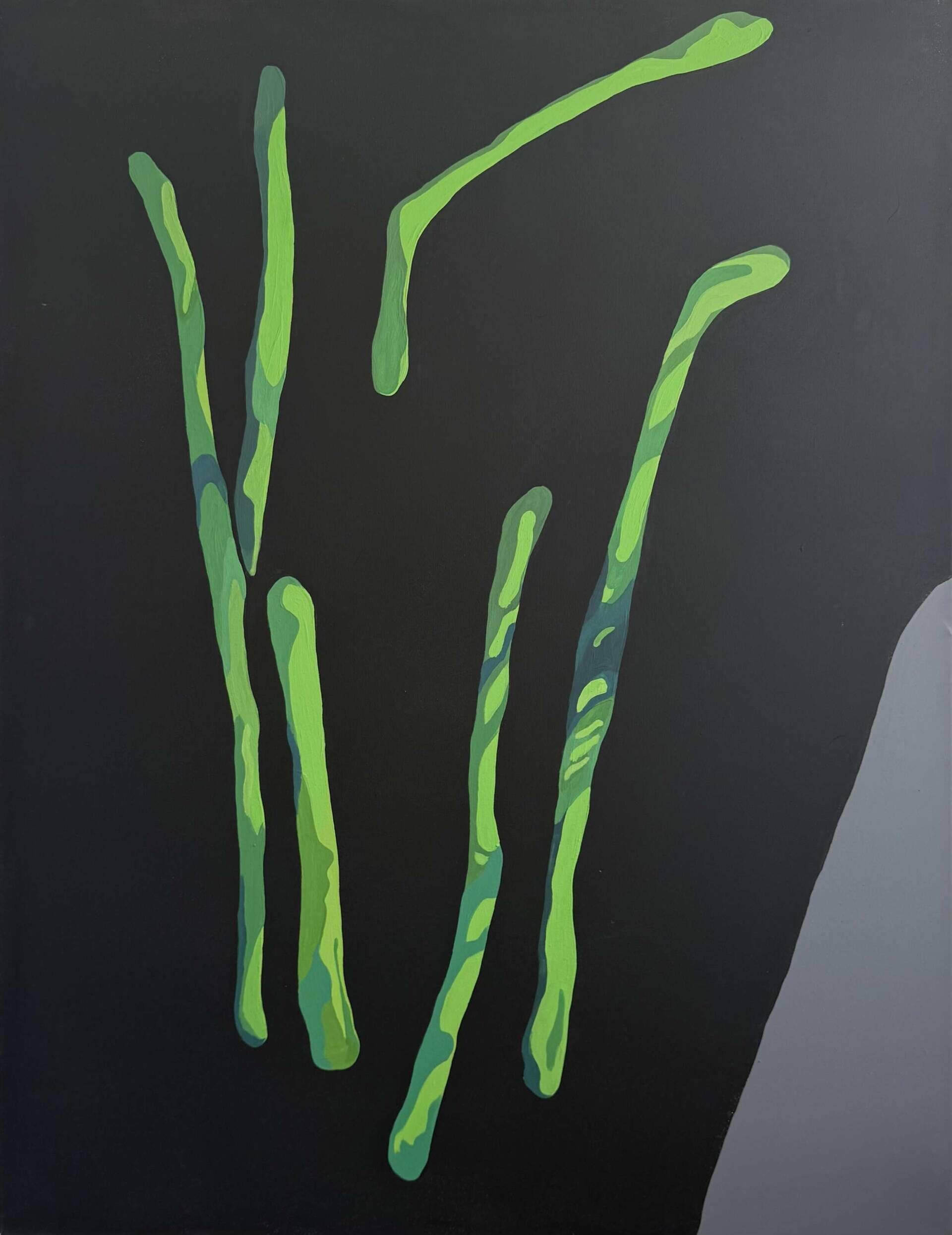 Abgelöste Rhizome - Cong Cong 1