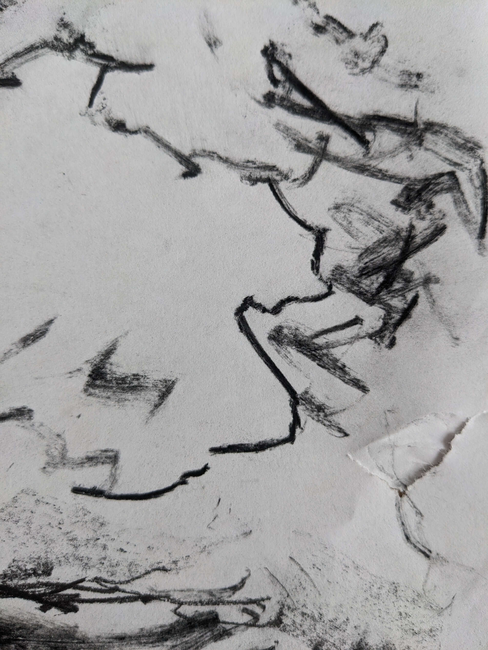 Emotionally Charched - Sabrina de Nys 1