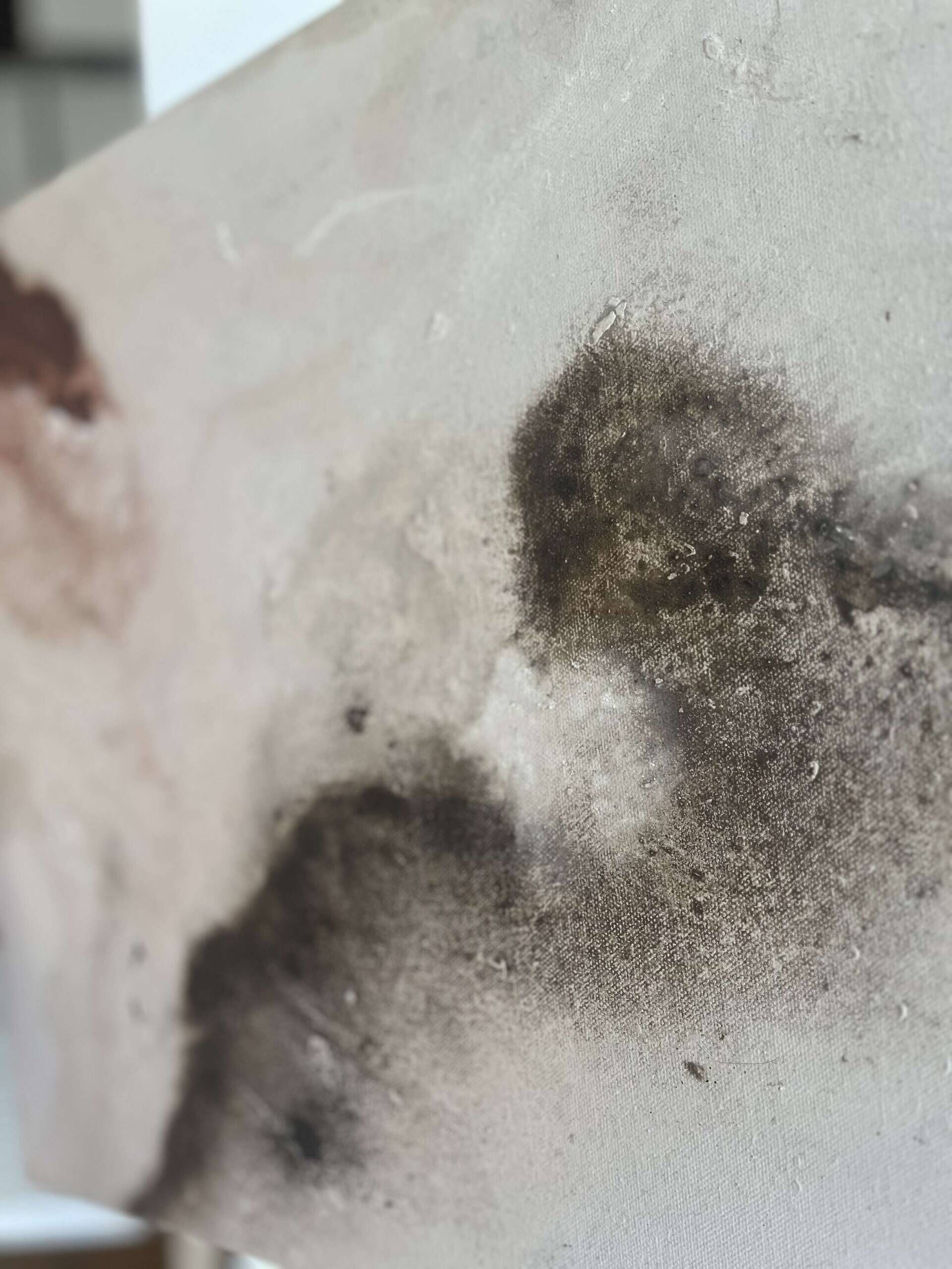 Earth movement  - laura sherin 1