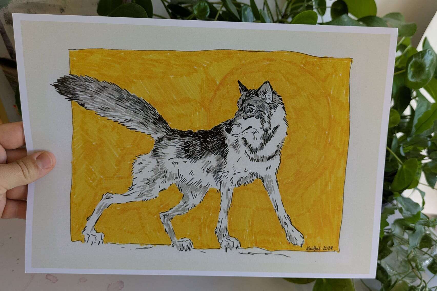 Wolf - Christine Knüttel 1