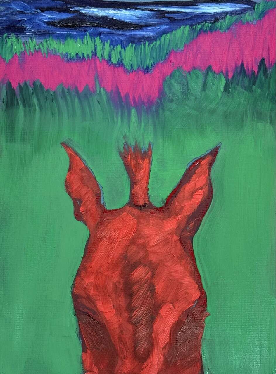 Bucanero II - Juliana Gutiérrez Wiest 3