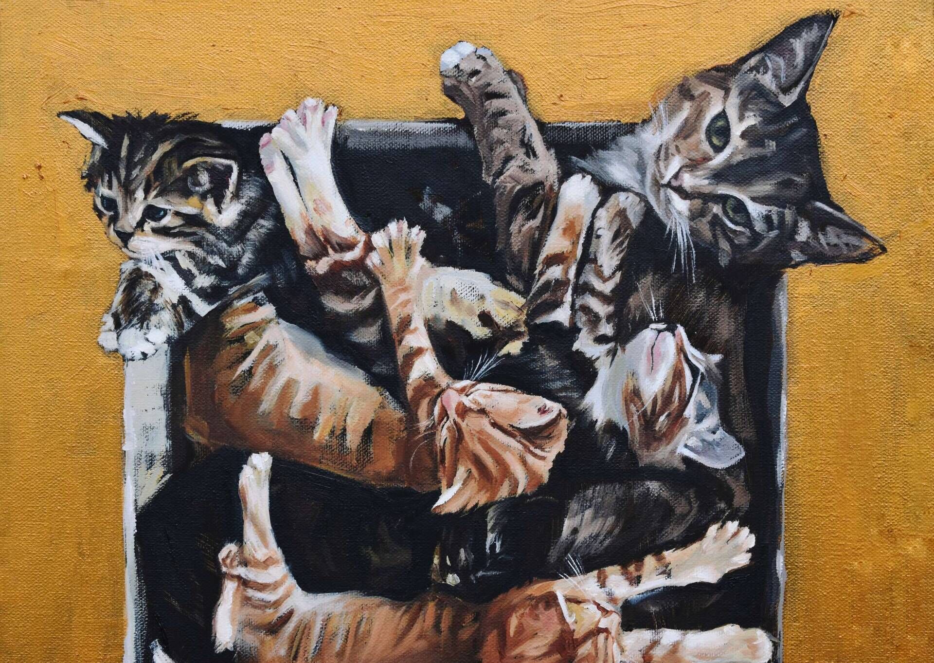 Golden Cat Square - Elza Slo 3