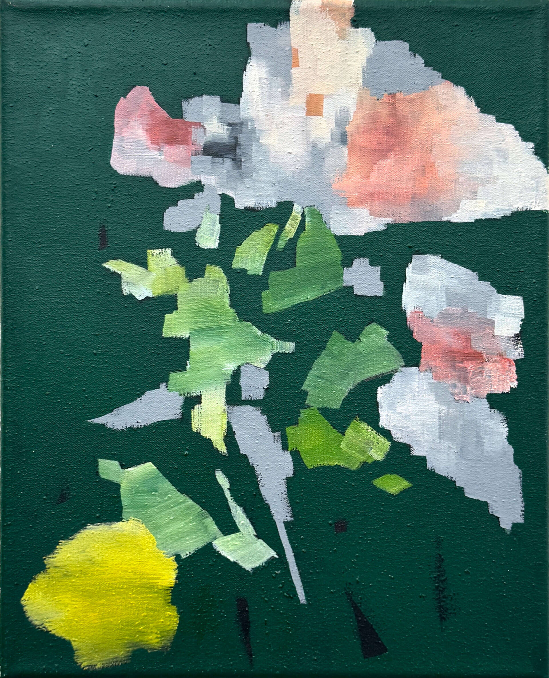 Little things around you -7-  - Nozomi Hasegawa 1