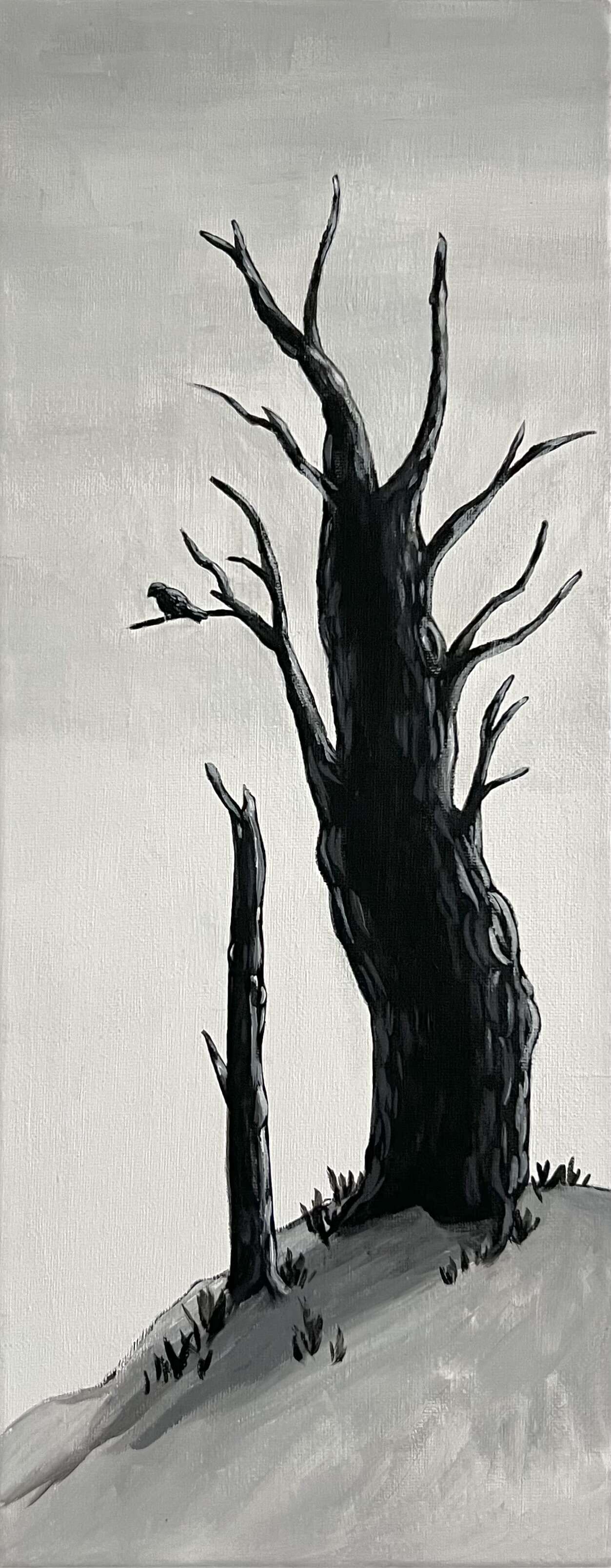 Im Schatten der Landschaft - Paula Victoria Aldea 1