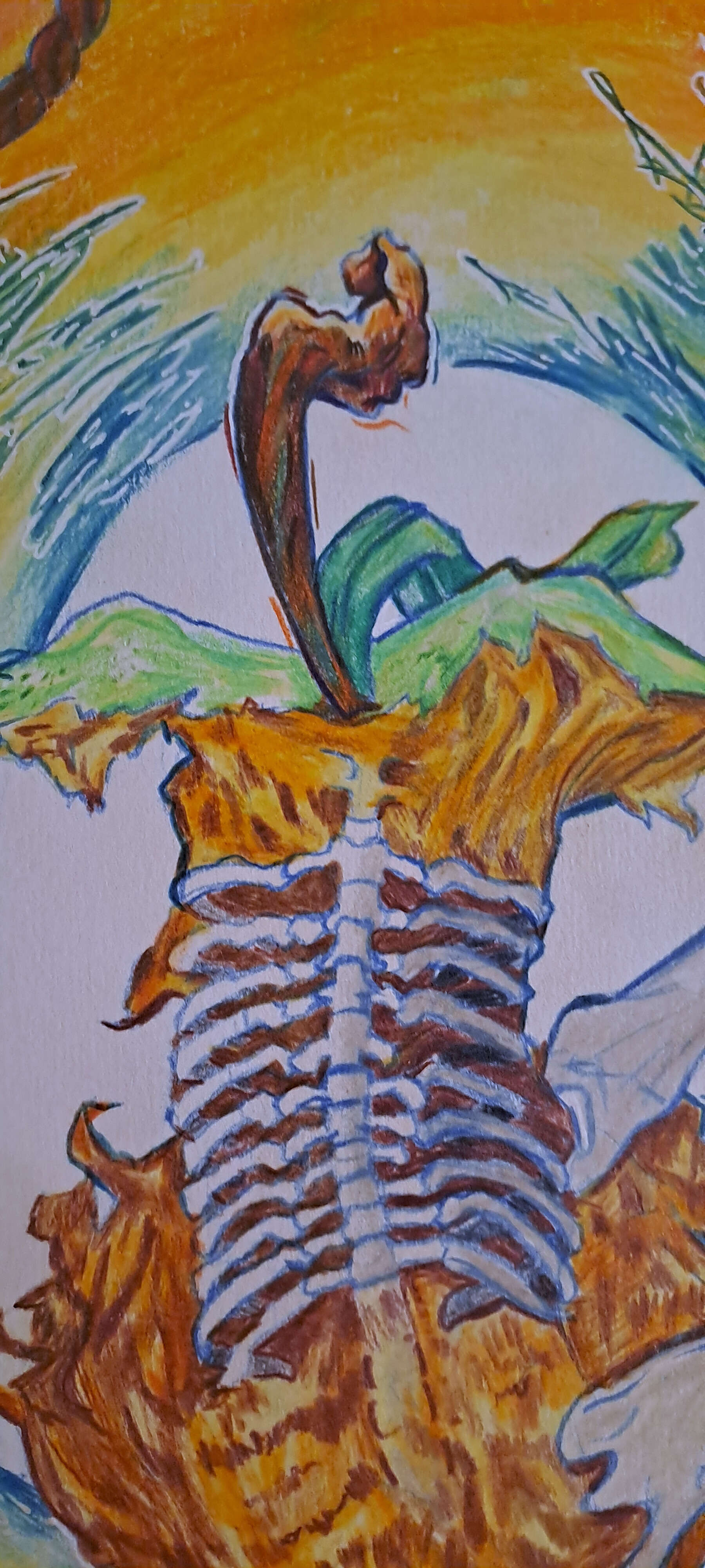 Epheser 5:29 - Thomas Lorenz 3