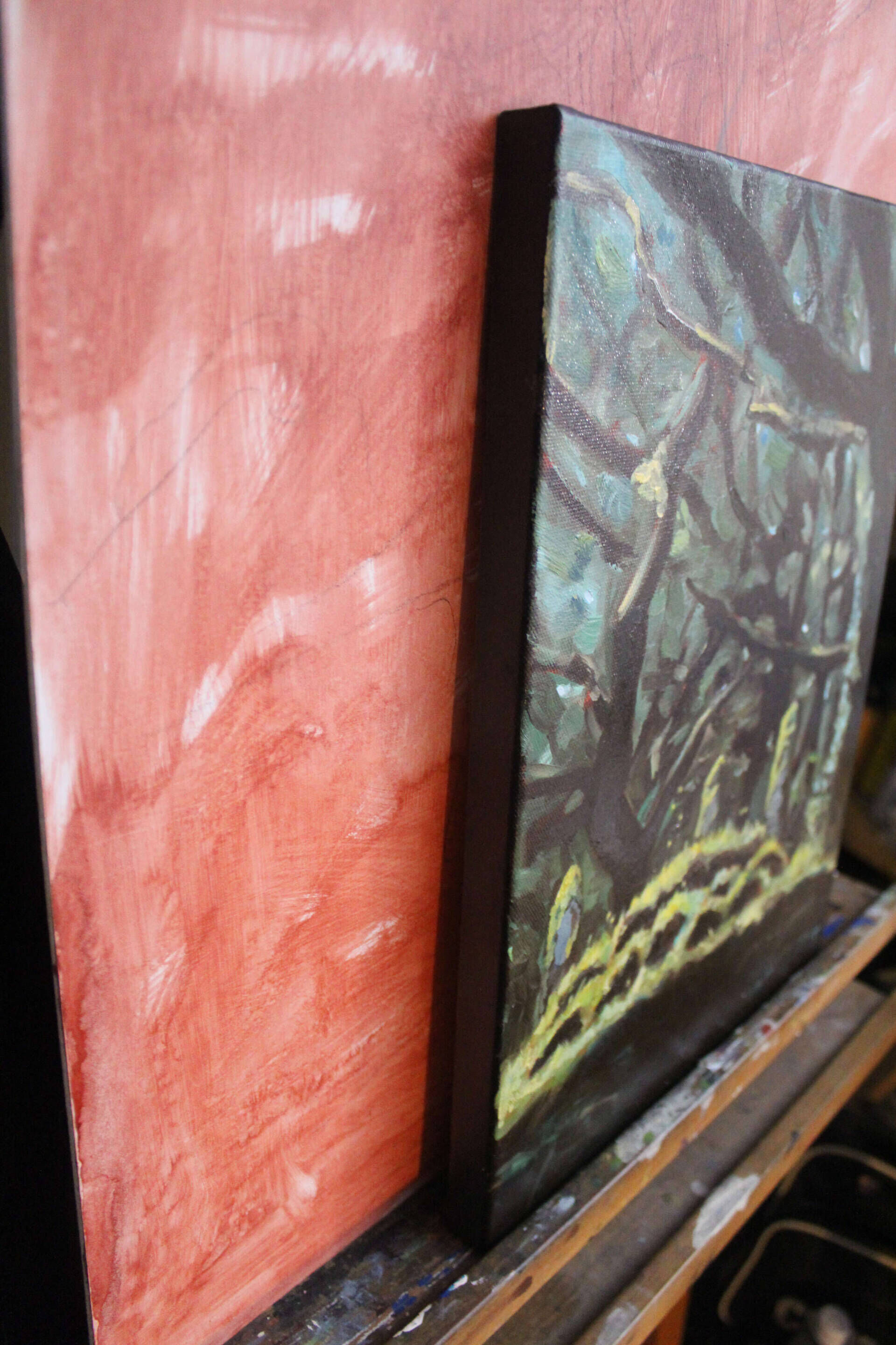 Lichtung - Tom Peter 2