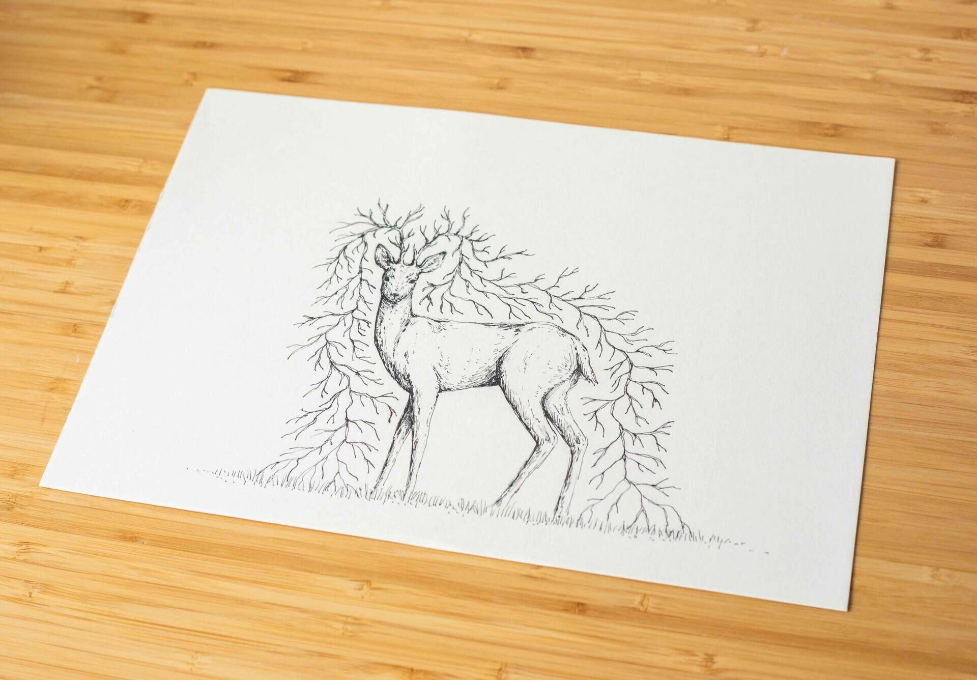 rooted - Alina Beck 3