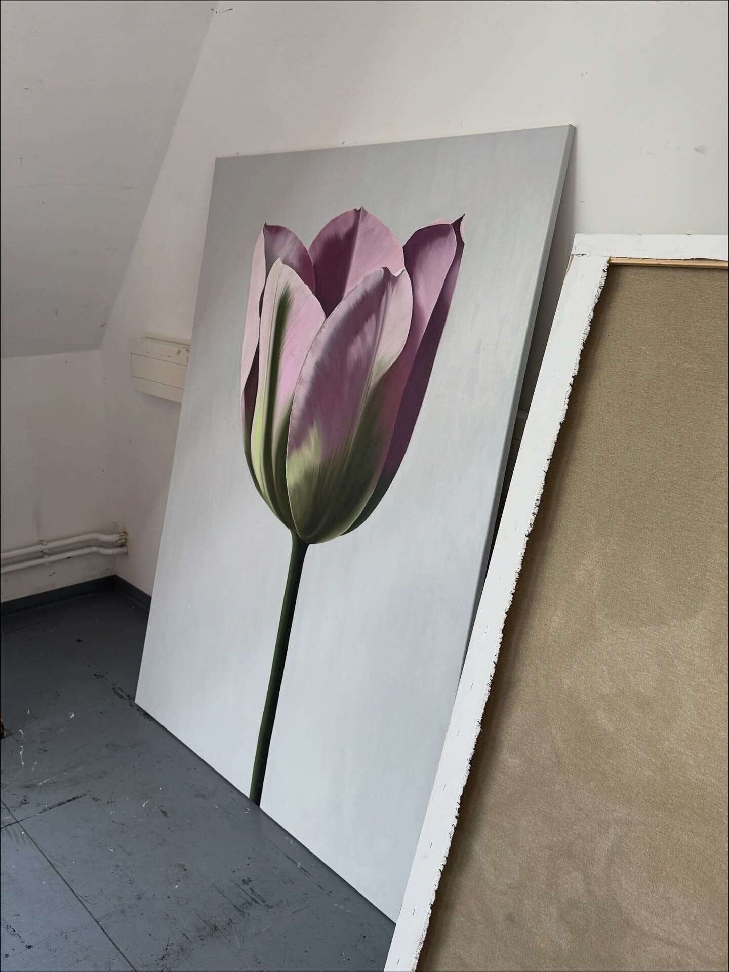 Tulpe - Julia Oleinicenko 1