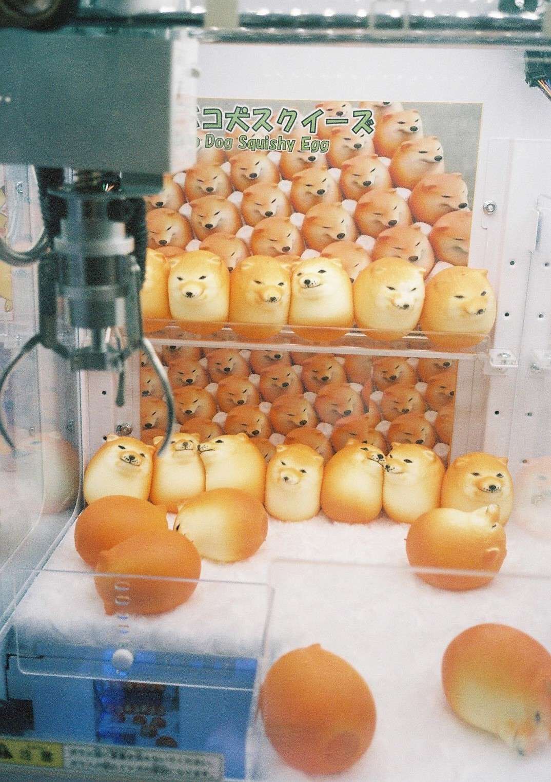Dog Squishy Egg - Linda Denkert 1