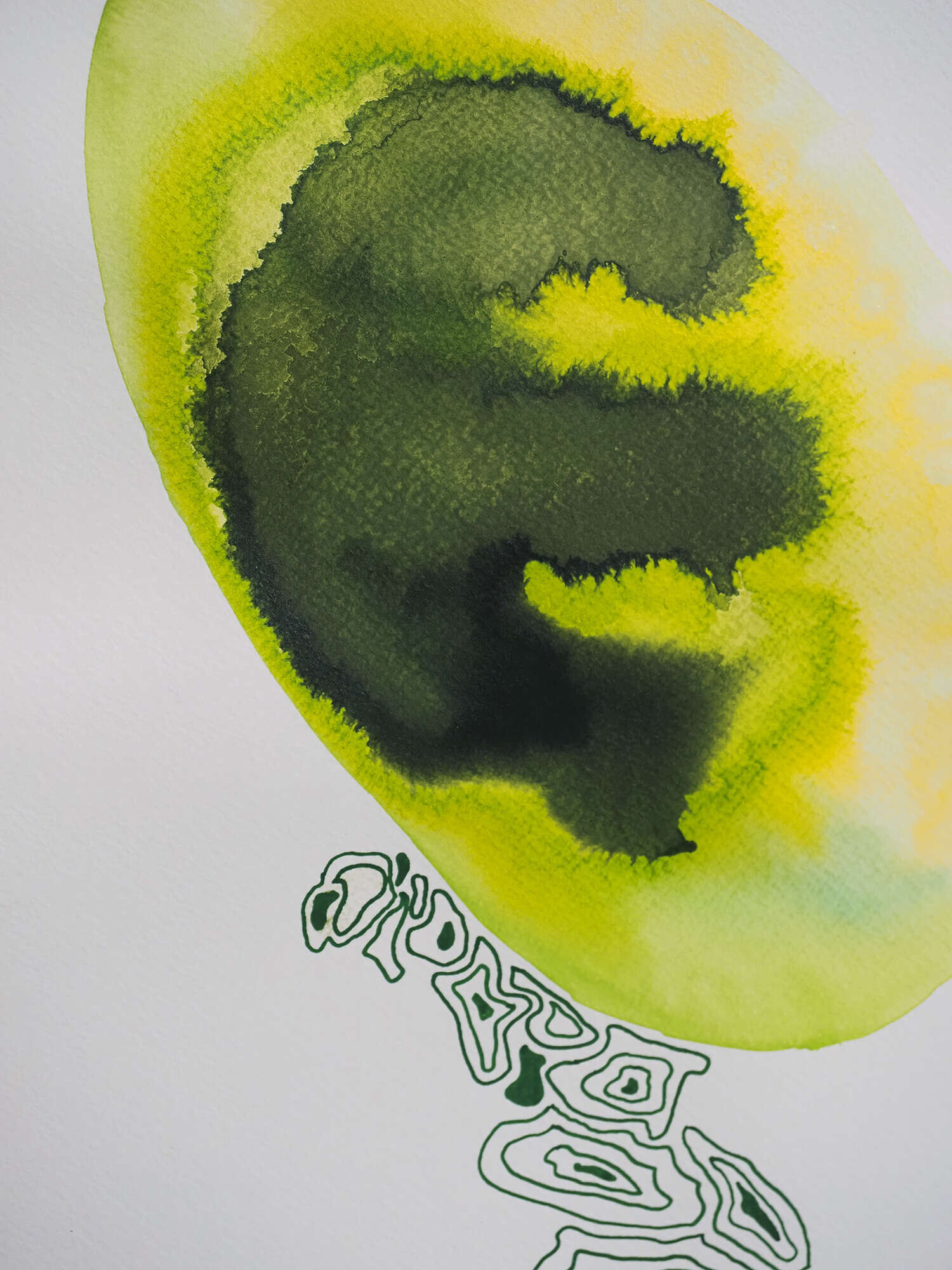 Microverse 9/12 - Vicky Anna Lardschneider 1