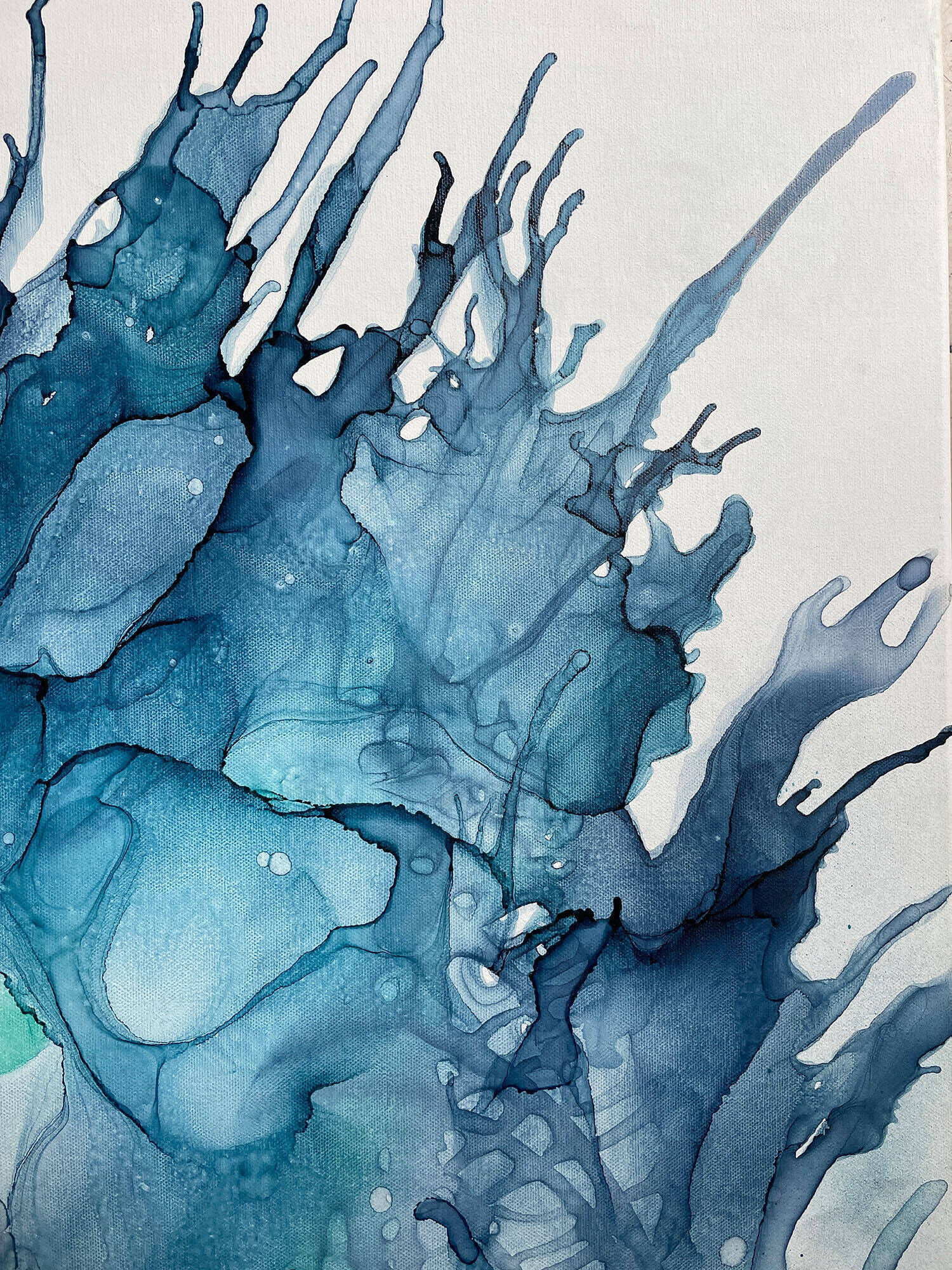Corals - Vicky Anna Lardschneider 2