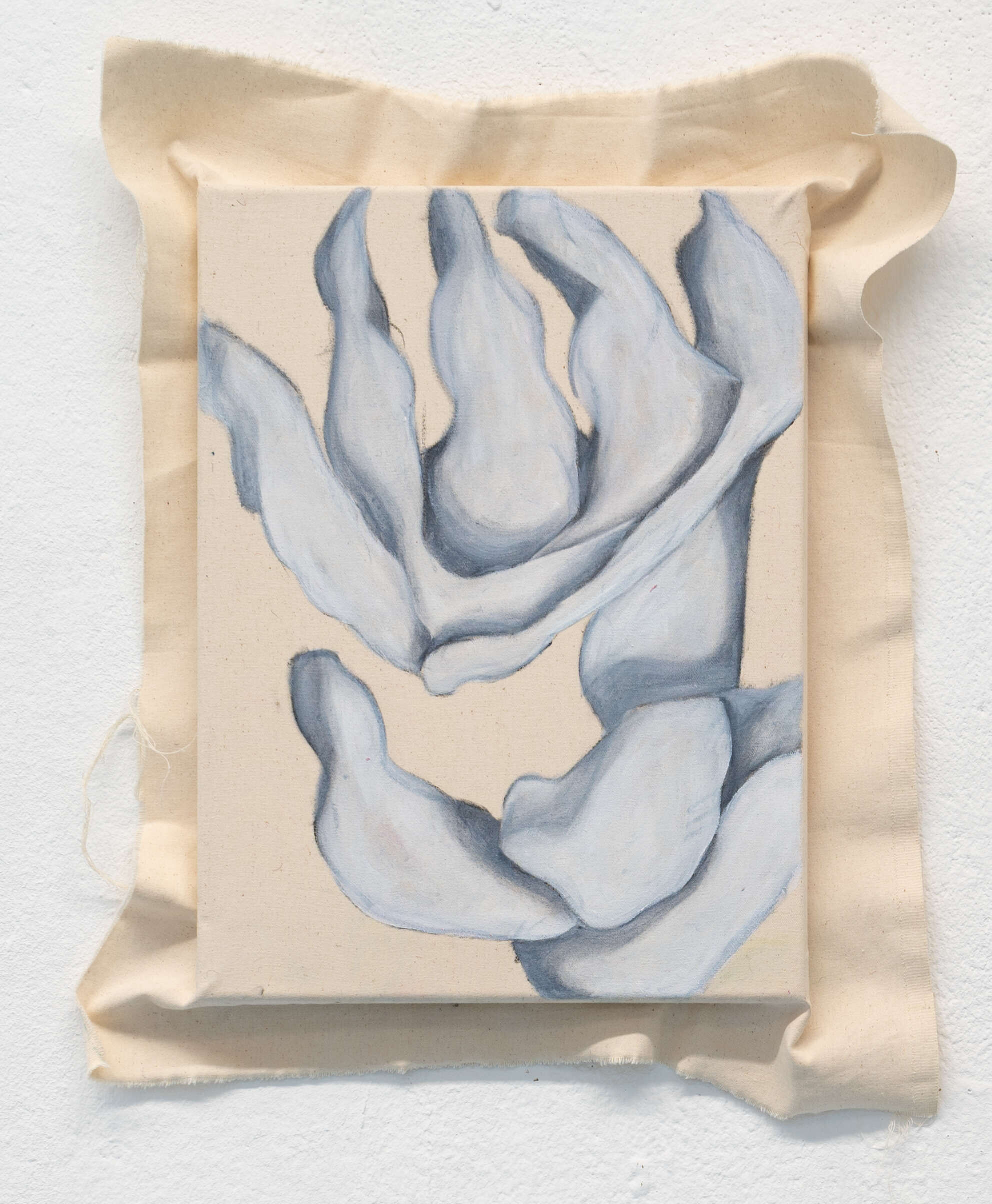 Blume - Jonattan Bustos 2