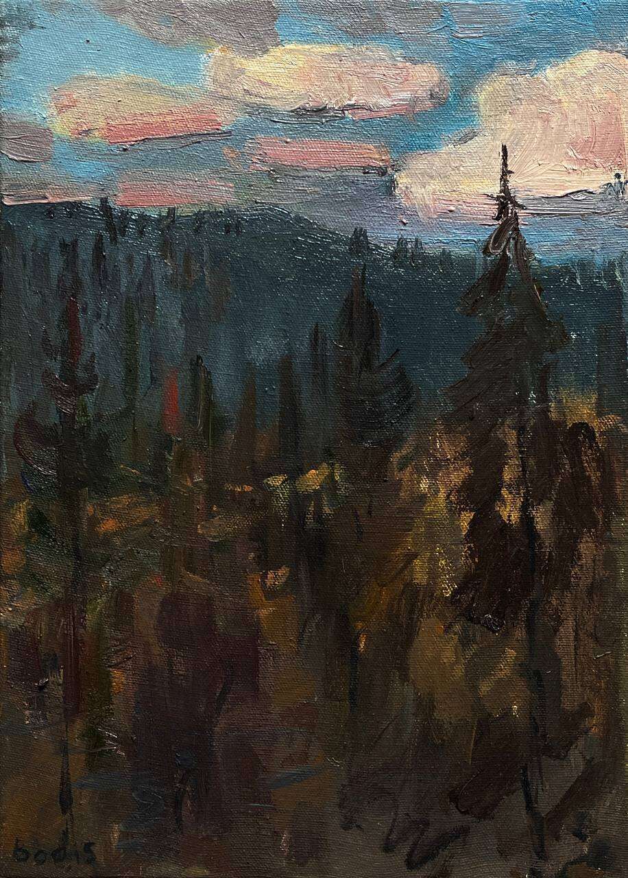 Rest - Bohdan  Dobrivskyi  1