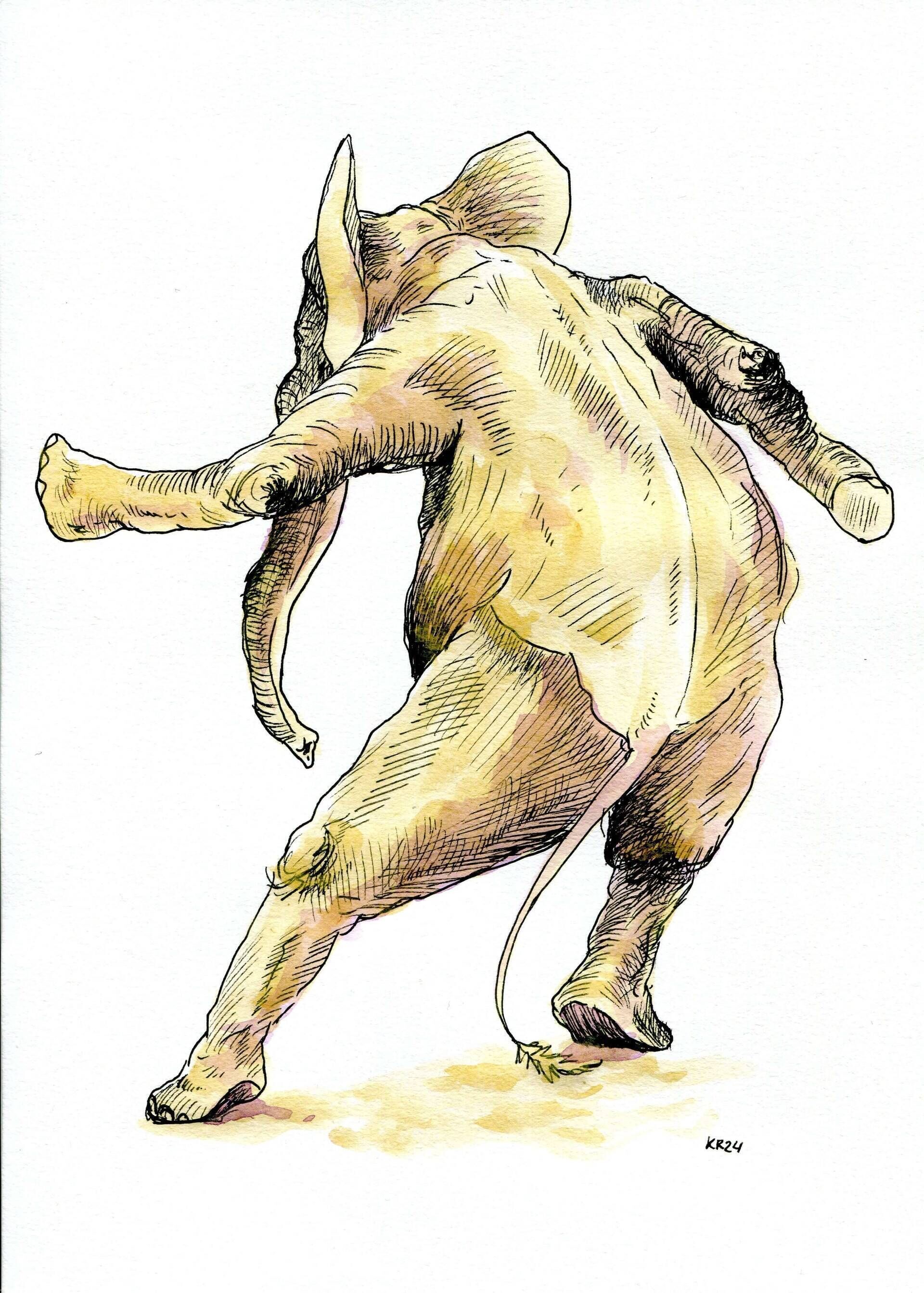 Keno Ringena 1