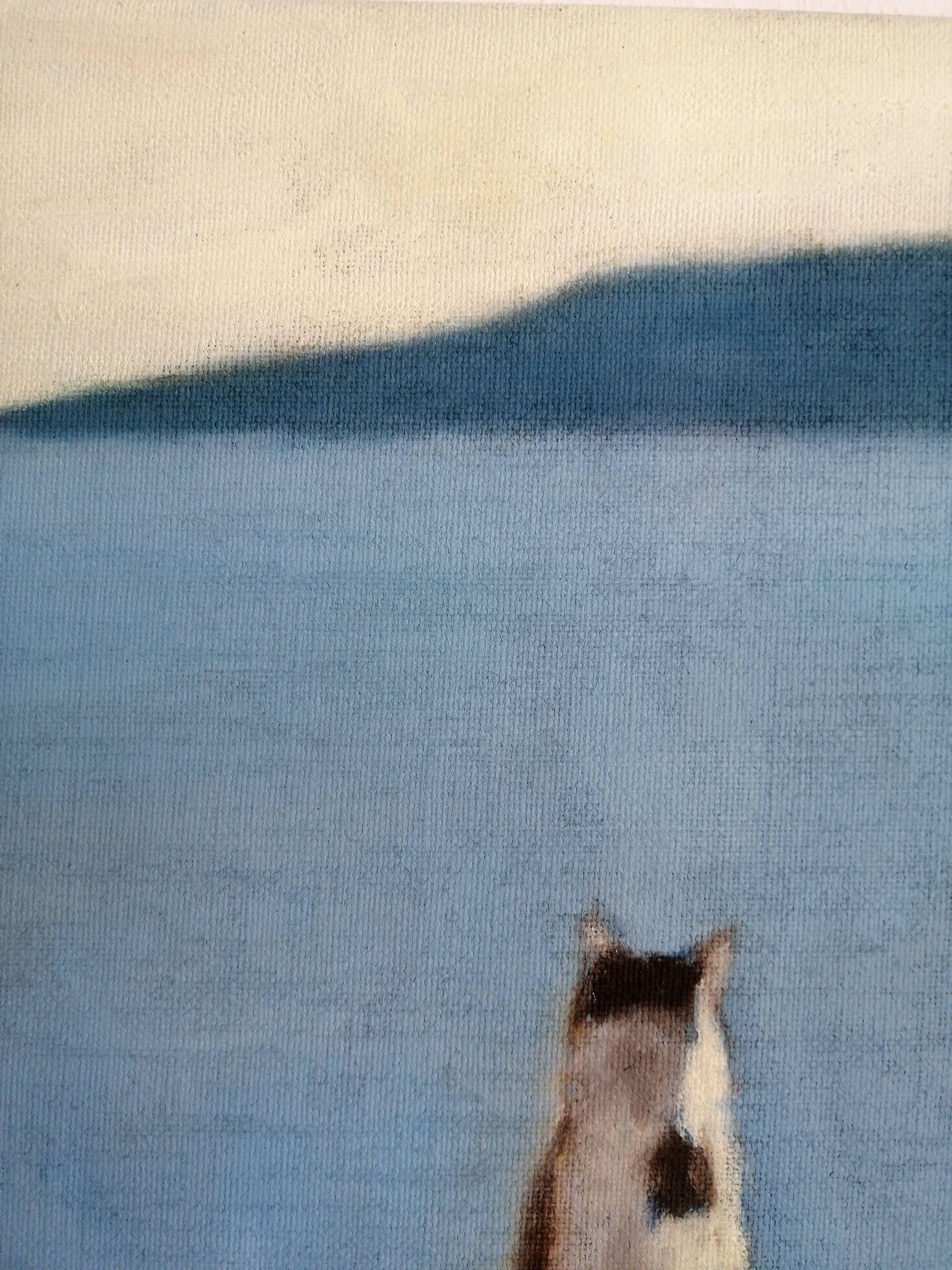 Katze am Meer - Christian Herzig 1