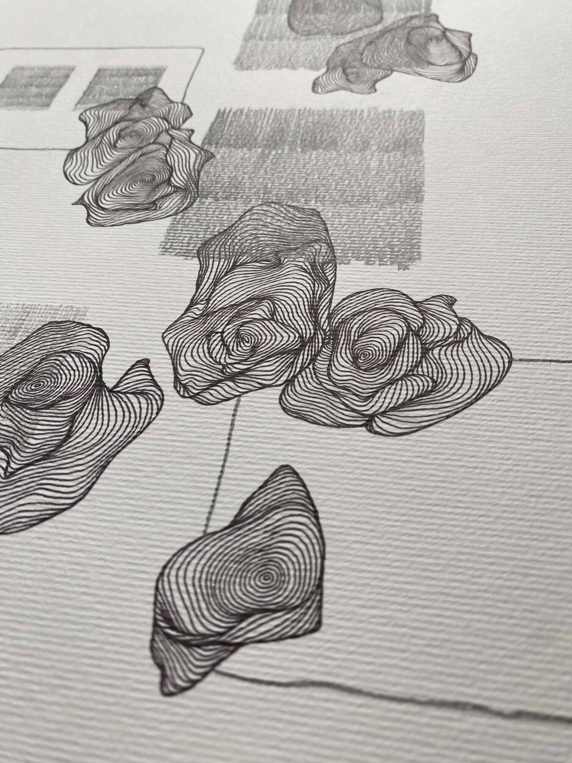 dilation IV - Paula-Maryla Schmoll 4