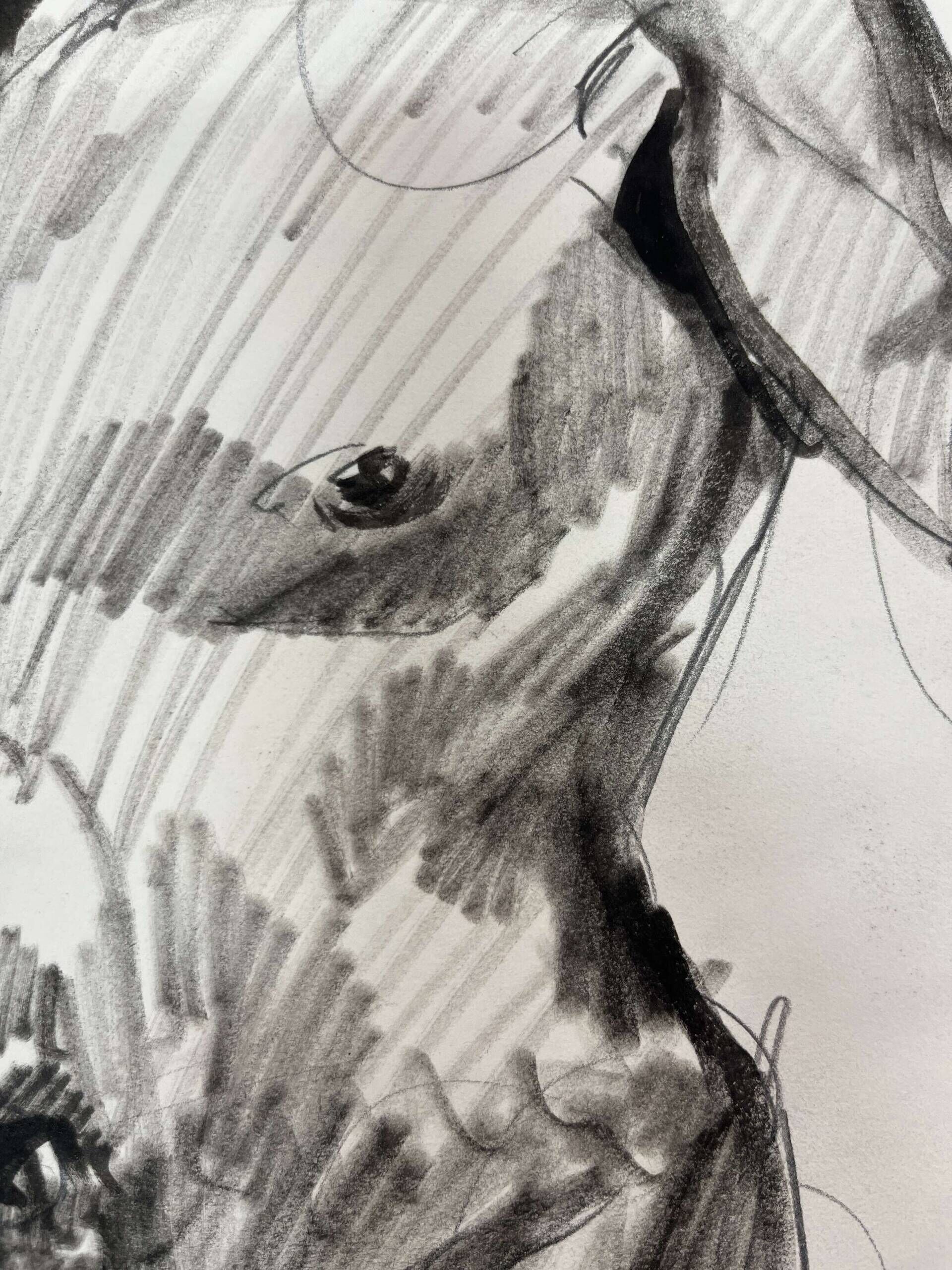 Körper mit angewinkelten Armen - Leon Tho Barwig 3