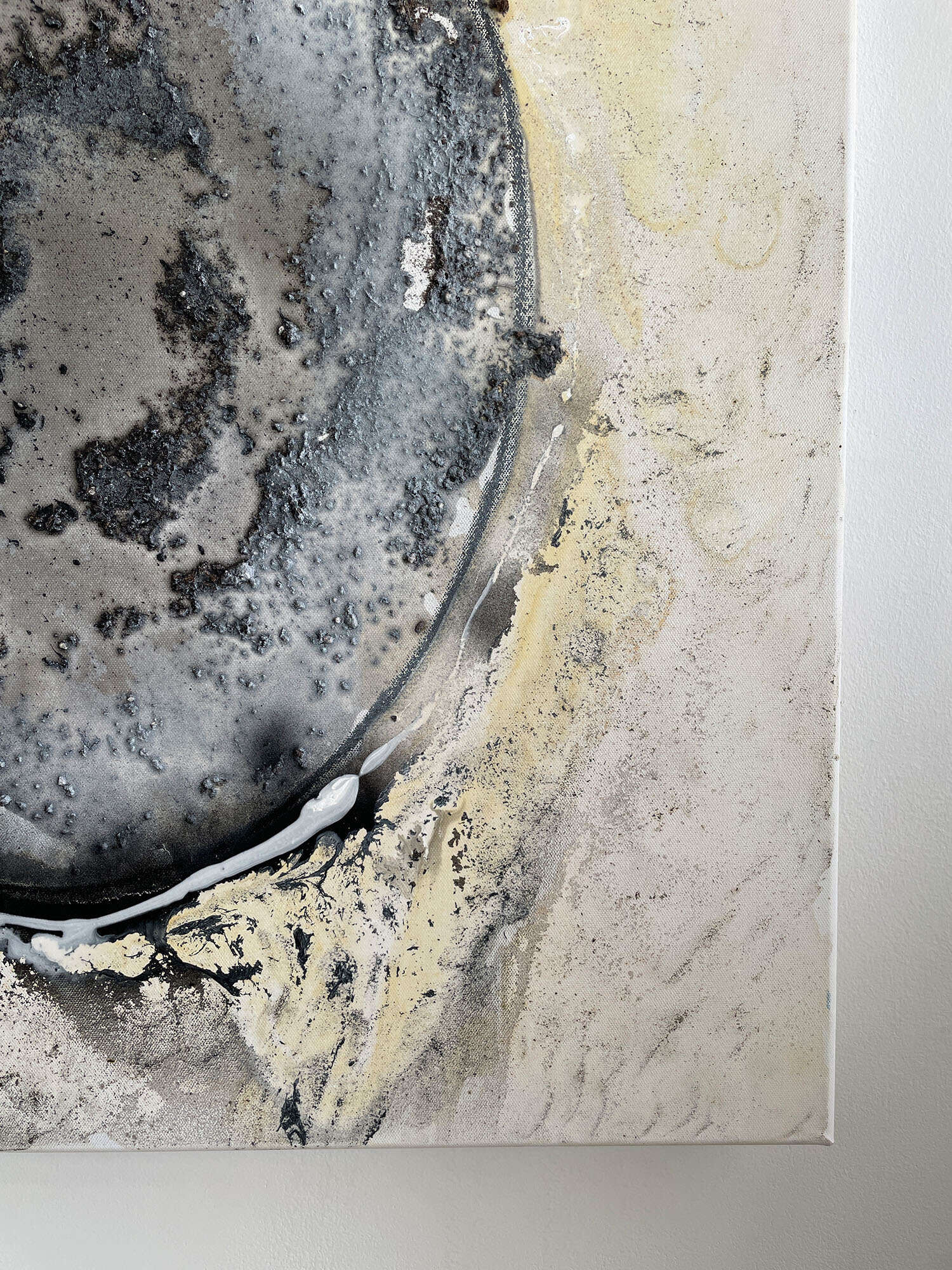 Shedding Shadow, Shedding Light - Vicky Anna Lardschneider 1