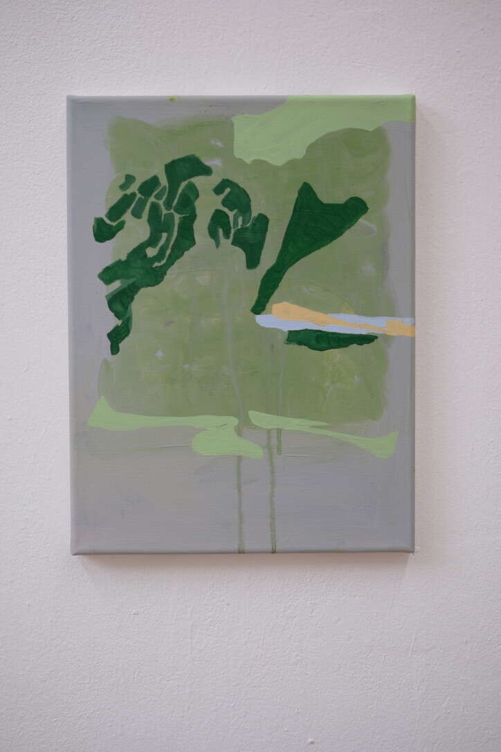 Mikroskopische Landkarte - Cong Cong 6