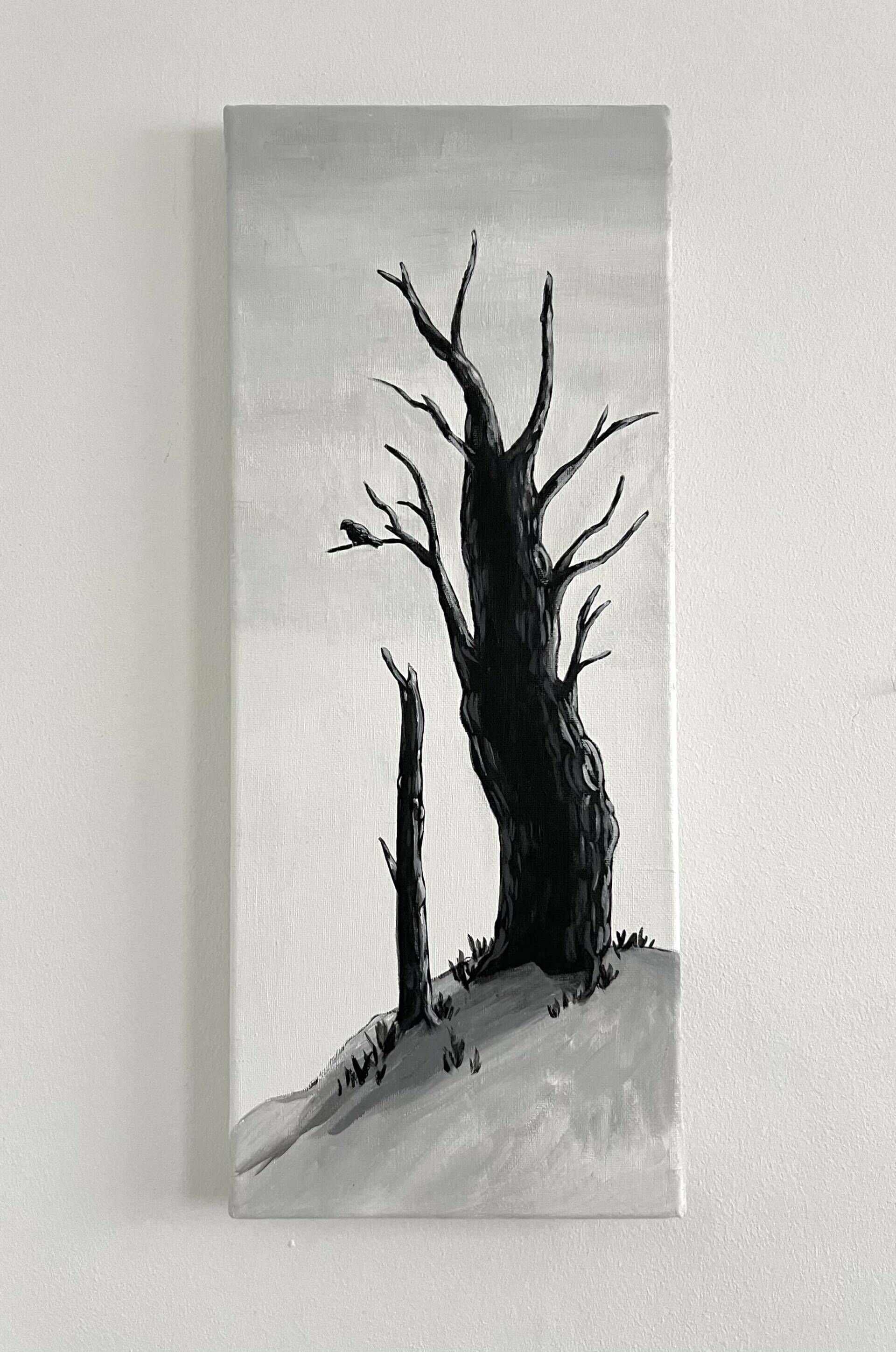 Im Schatten der Landschaft - Paula Victoria Aldea 2