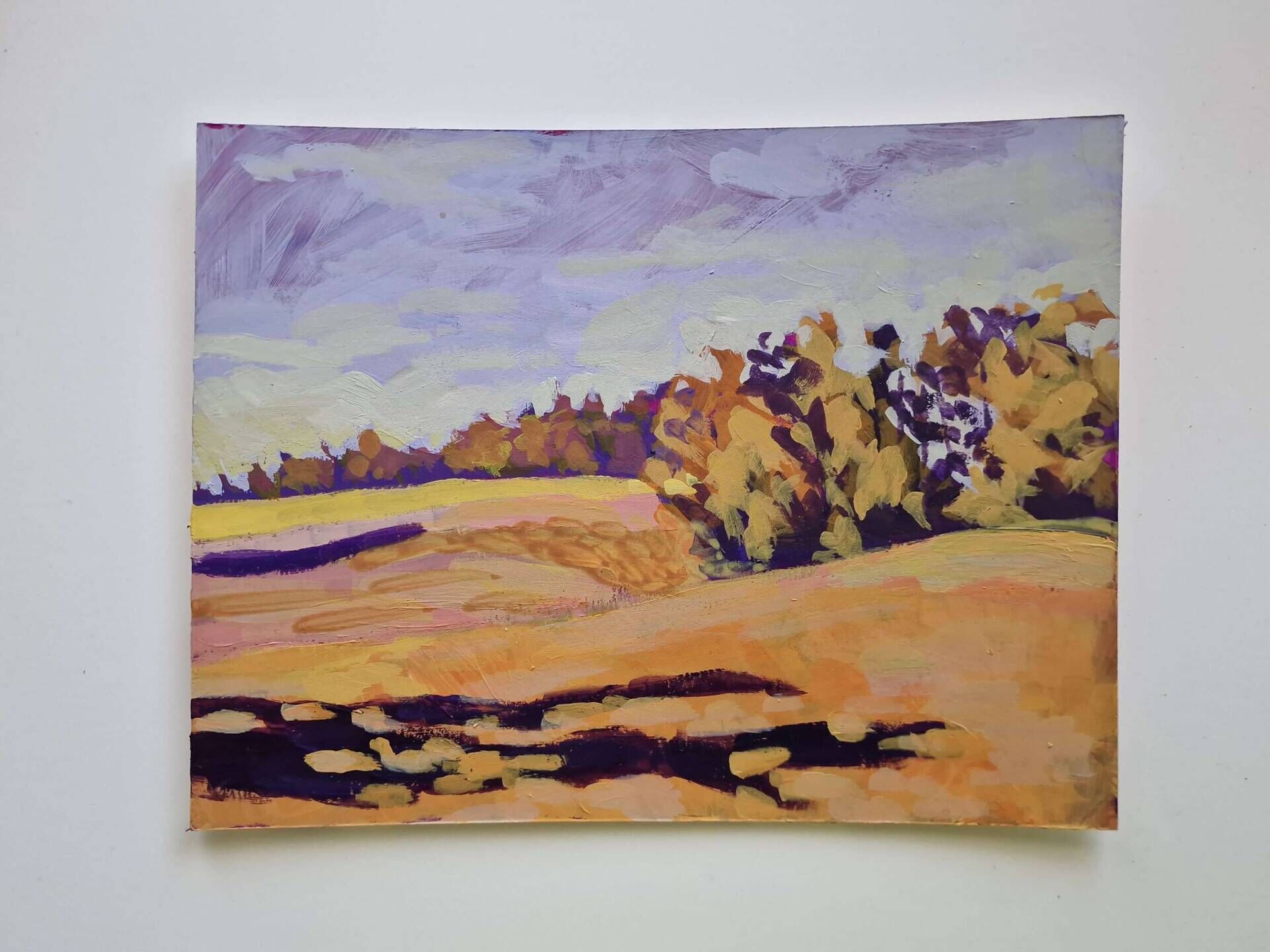 Feld in Orange - Julia Helena Ettenhuber 2
