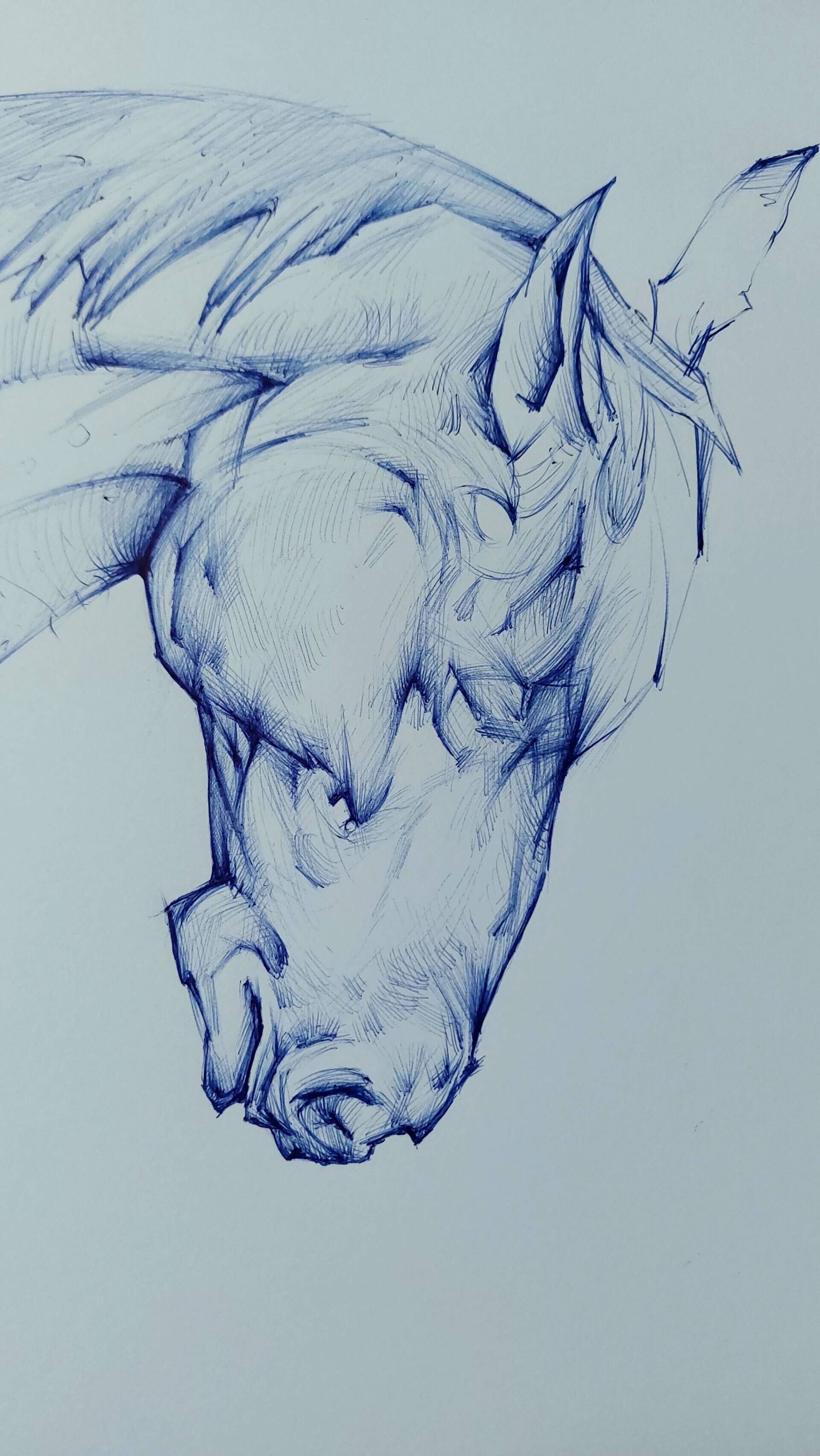 Pferdekopf - Alexander Straub 7