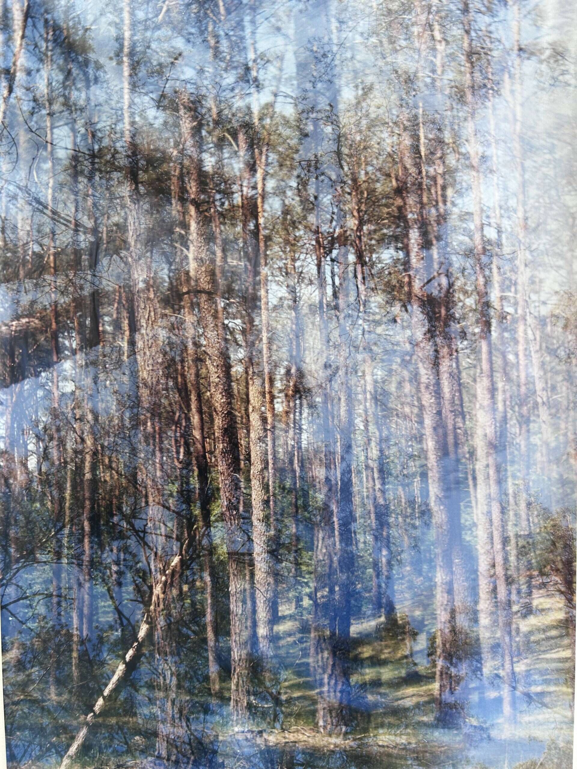 Wunderwald 2.0 - Luise Oswald 3