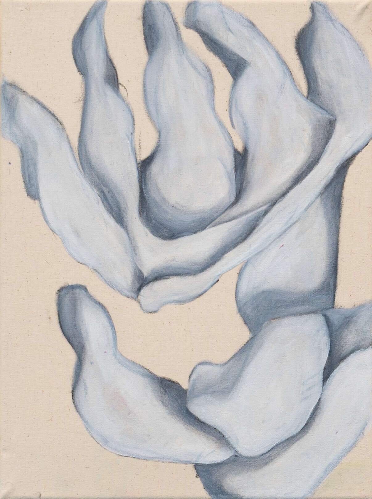 Blume - Jonattan Bustos 1